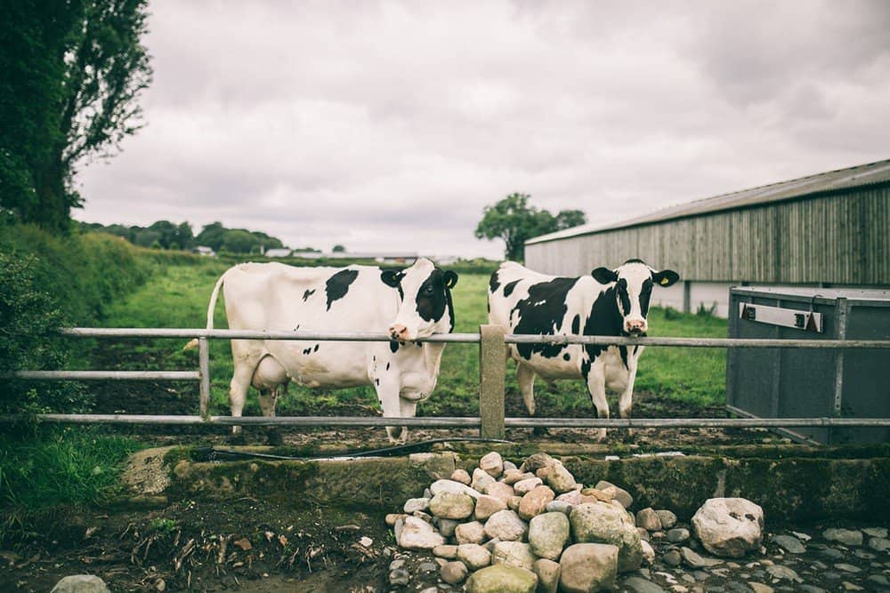 Cheshire Farm wedding Frodsham