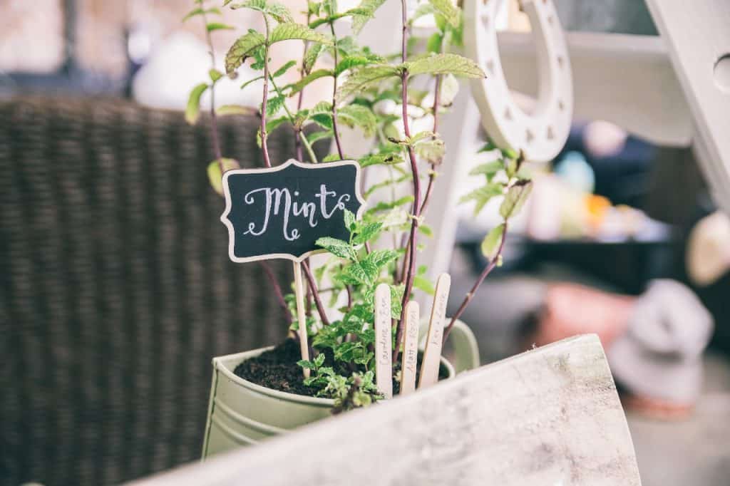 charnock farm wedding
