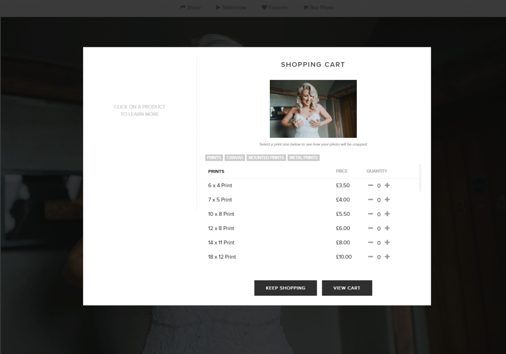 Your Private Online Gallery