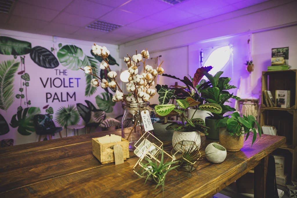 the violet plam in cheshire chester commerical shoot
