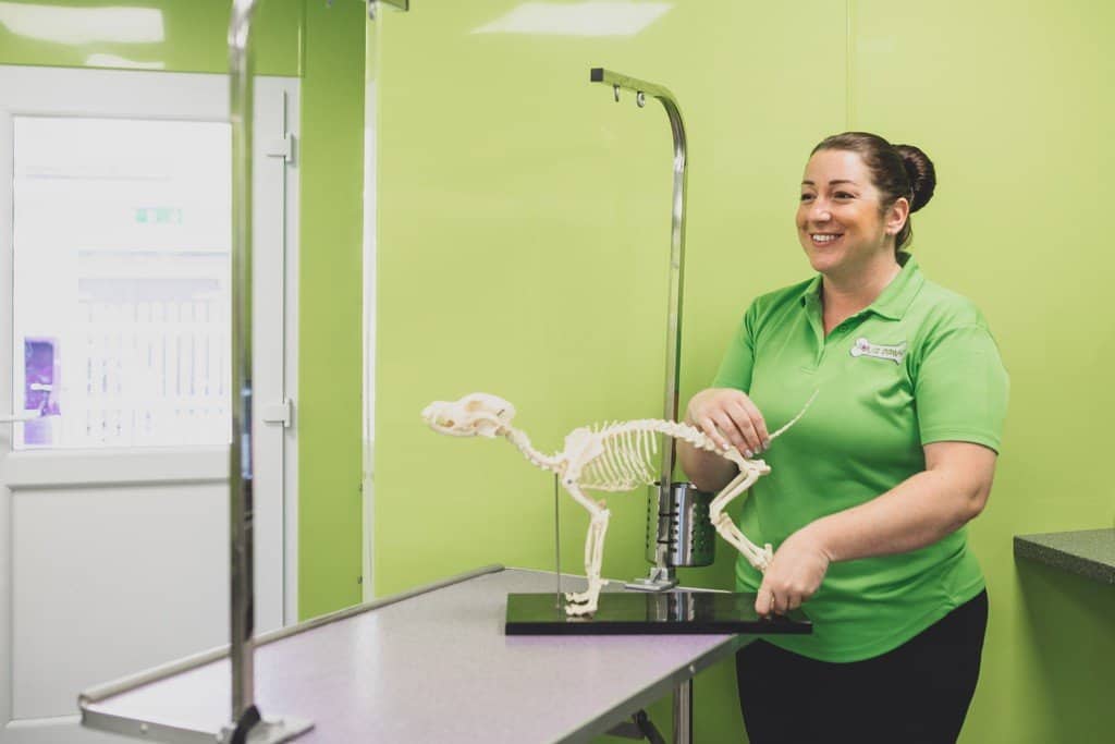 small business owner in cheshire