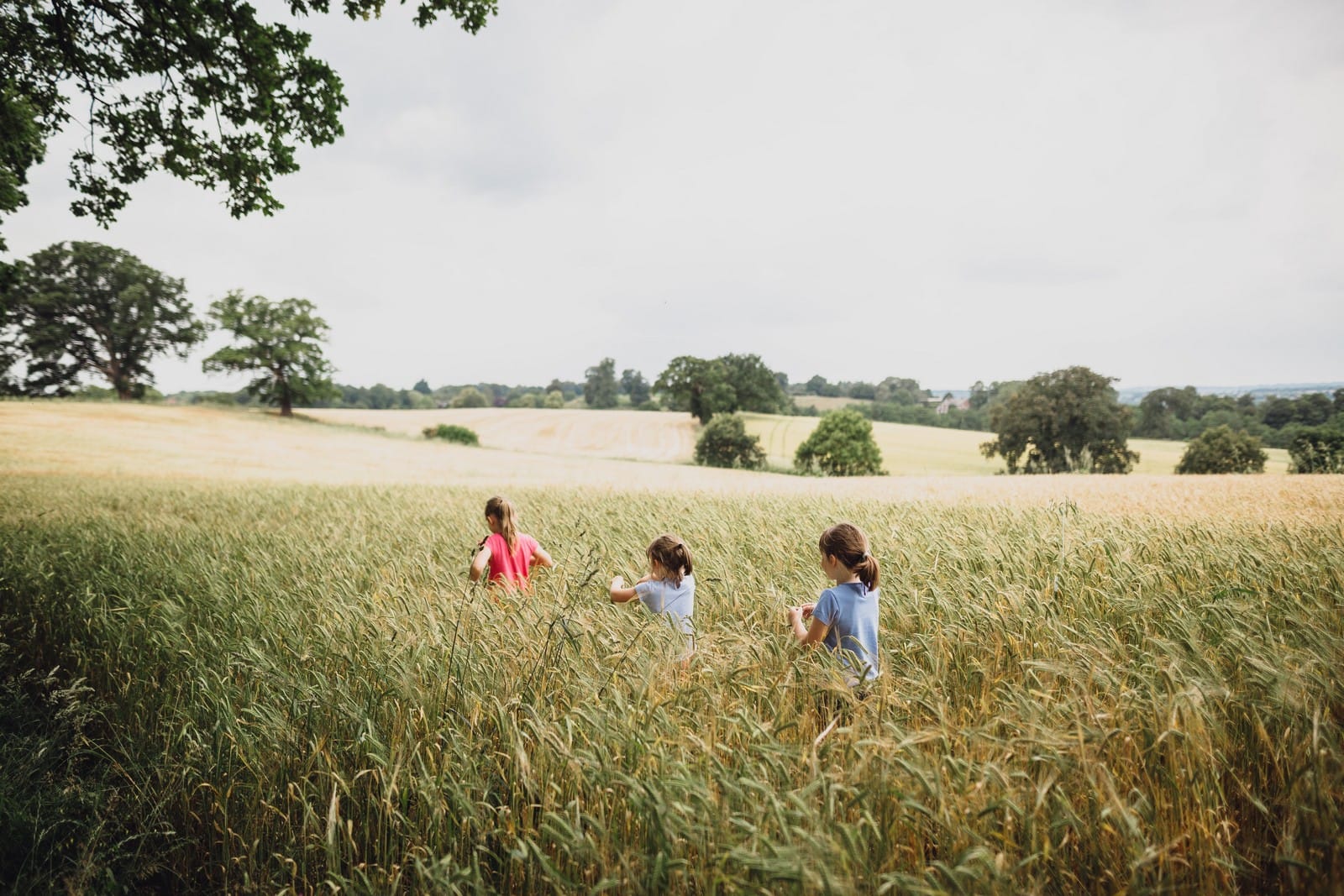 cheshire family photography