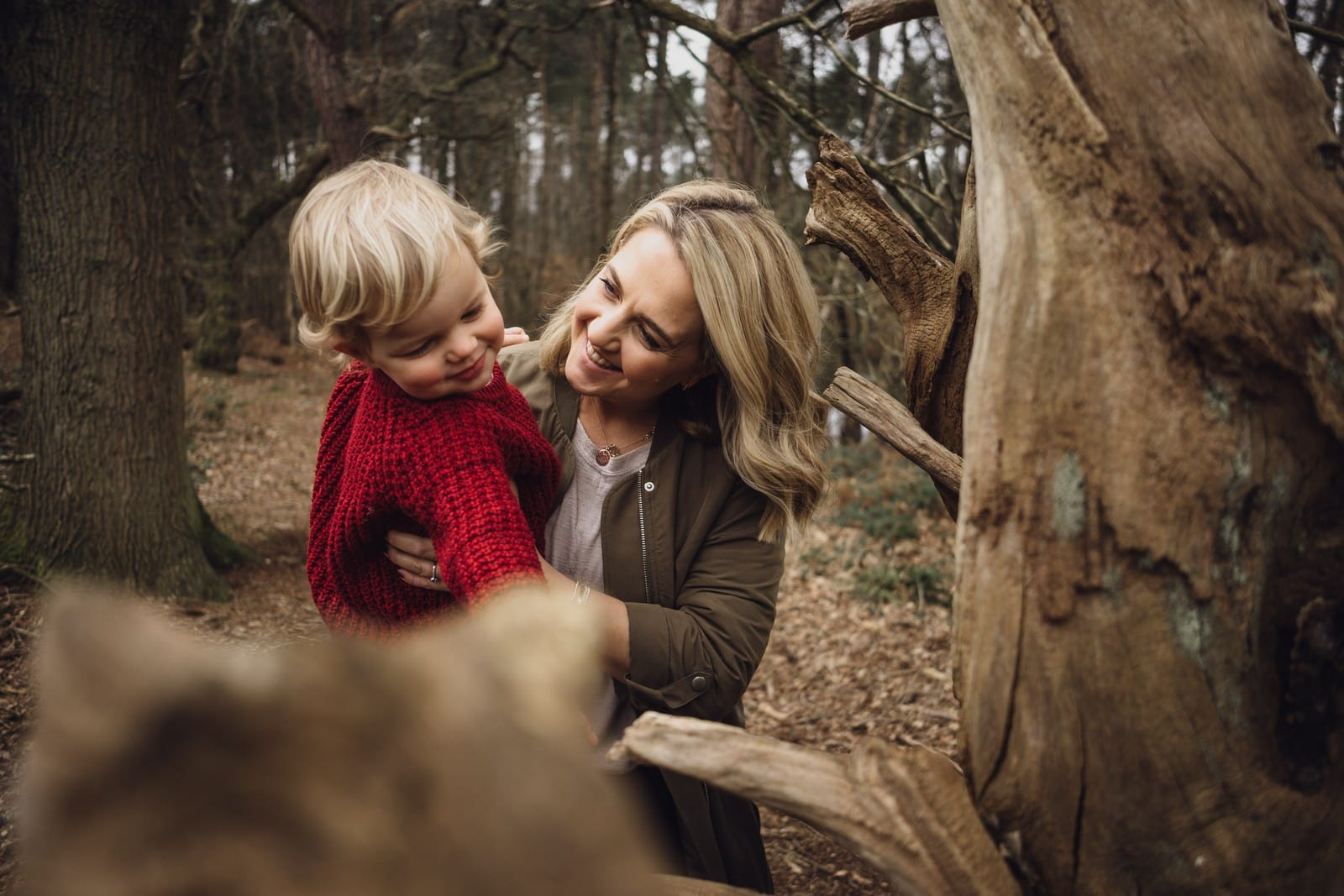 cheshire photographer delamere mini shoot