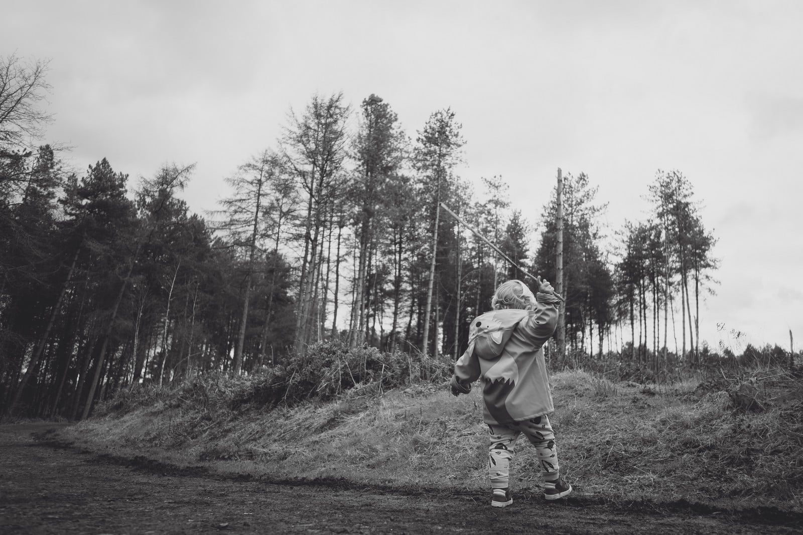cheshire photographer delamere mini shoot