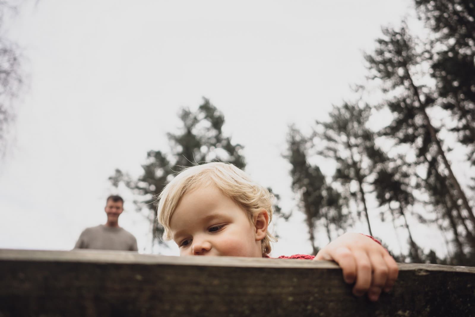 cheshire photographer delamere mini shoot