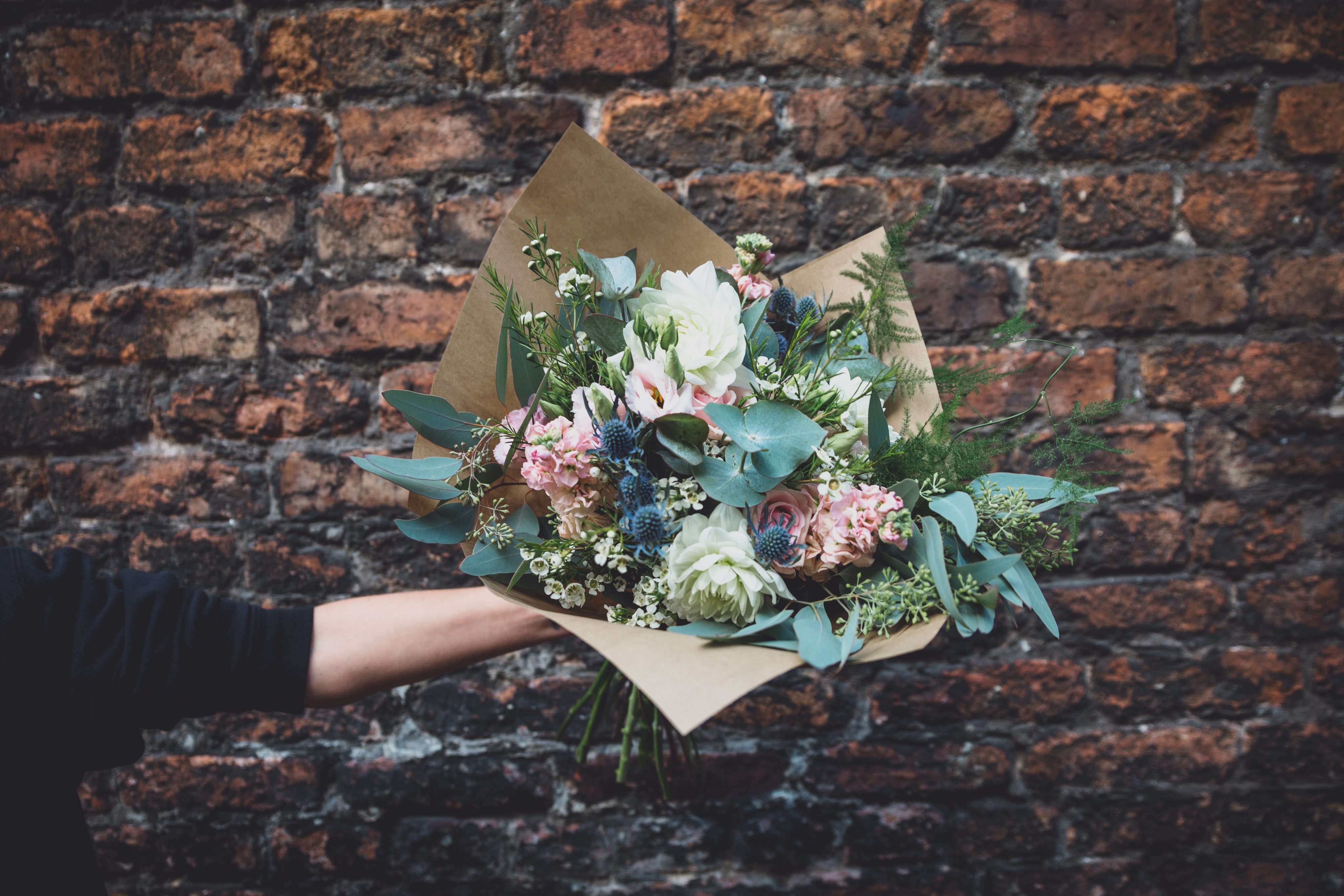 the violet palm chester florist