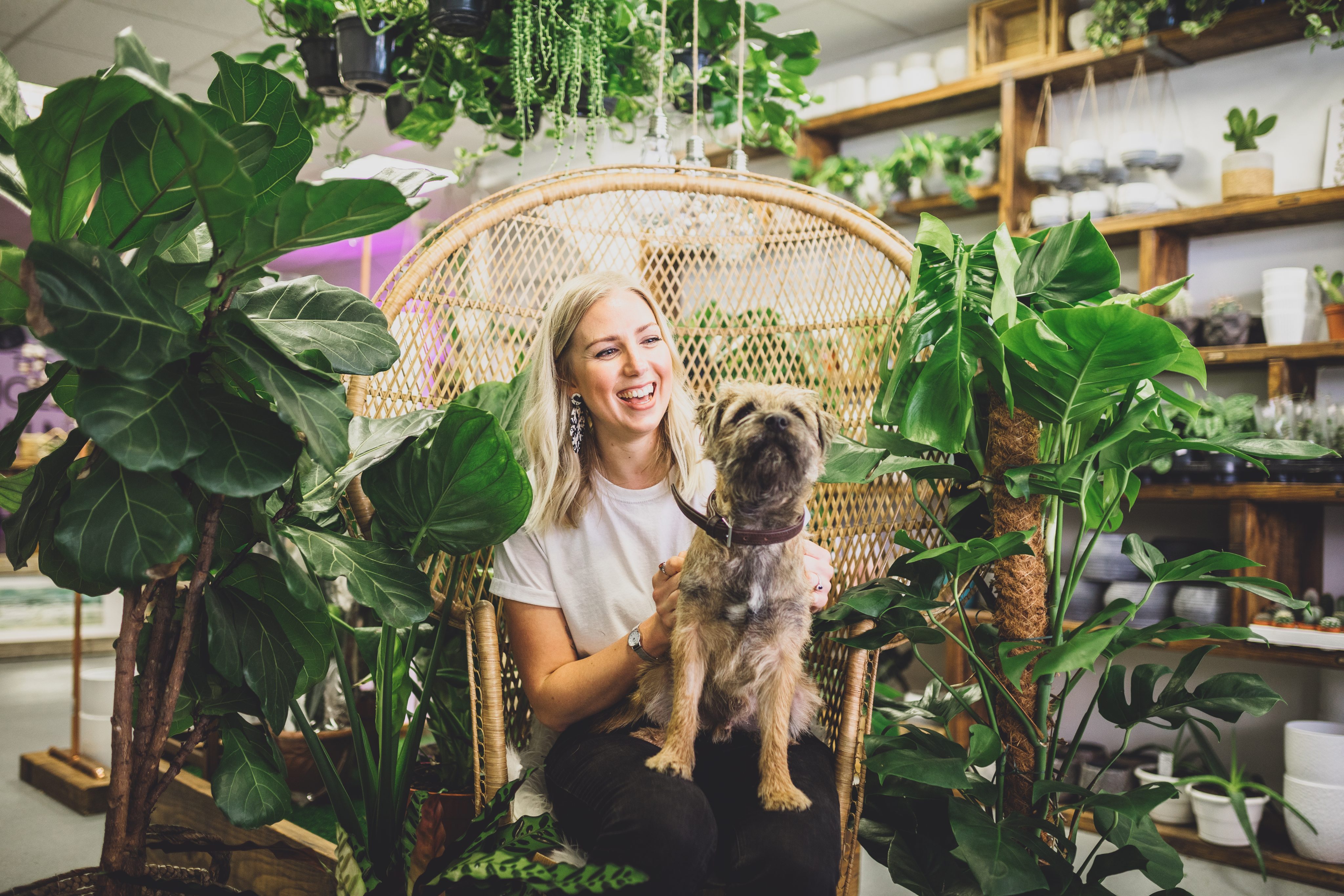 the violet palm chester florist