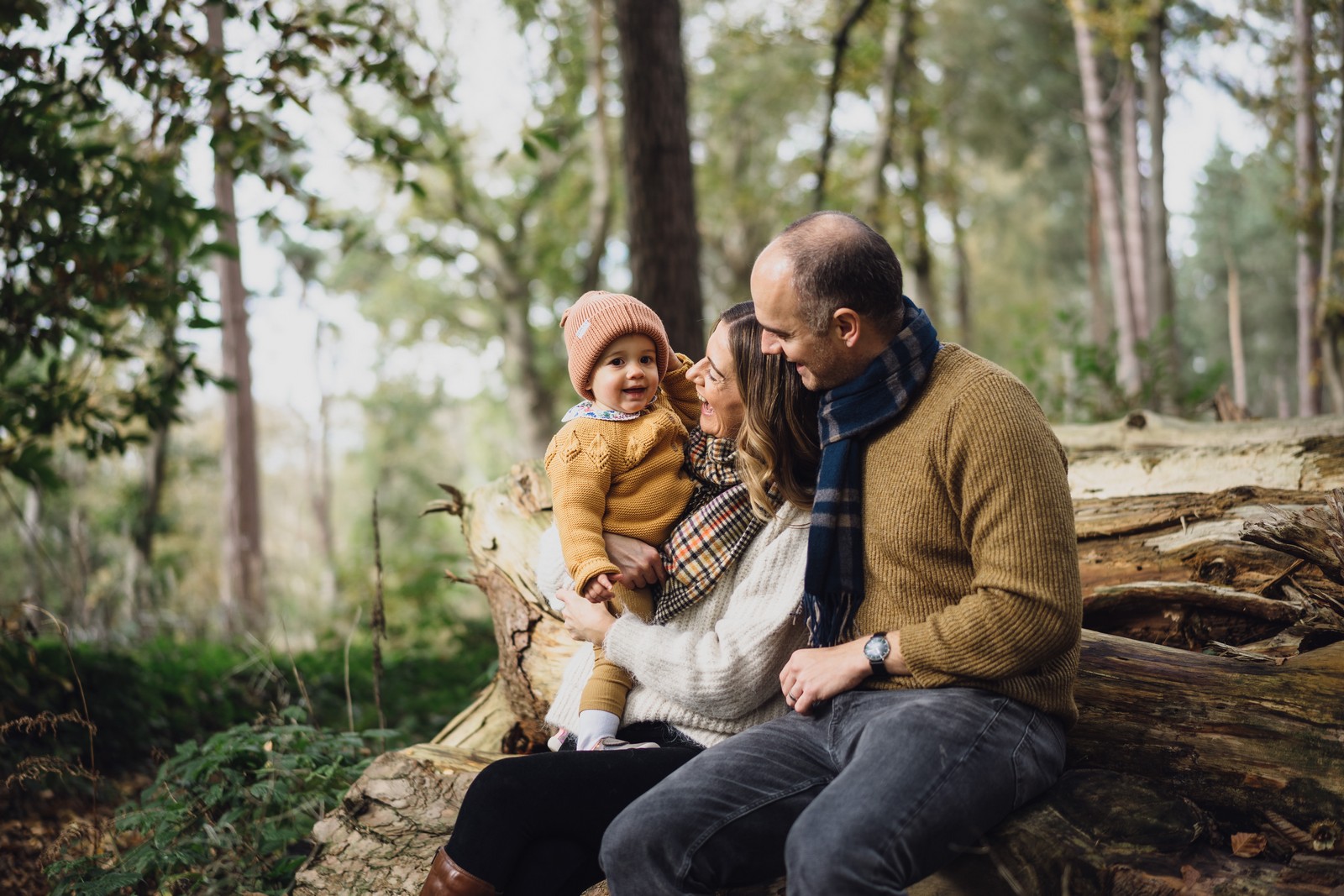 delamere forest autumn shoot