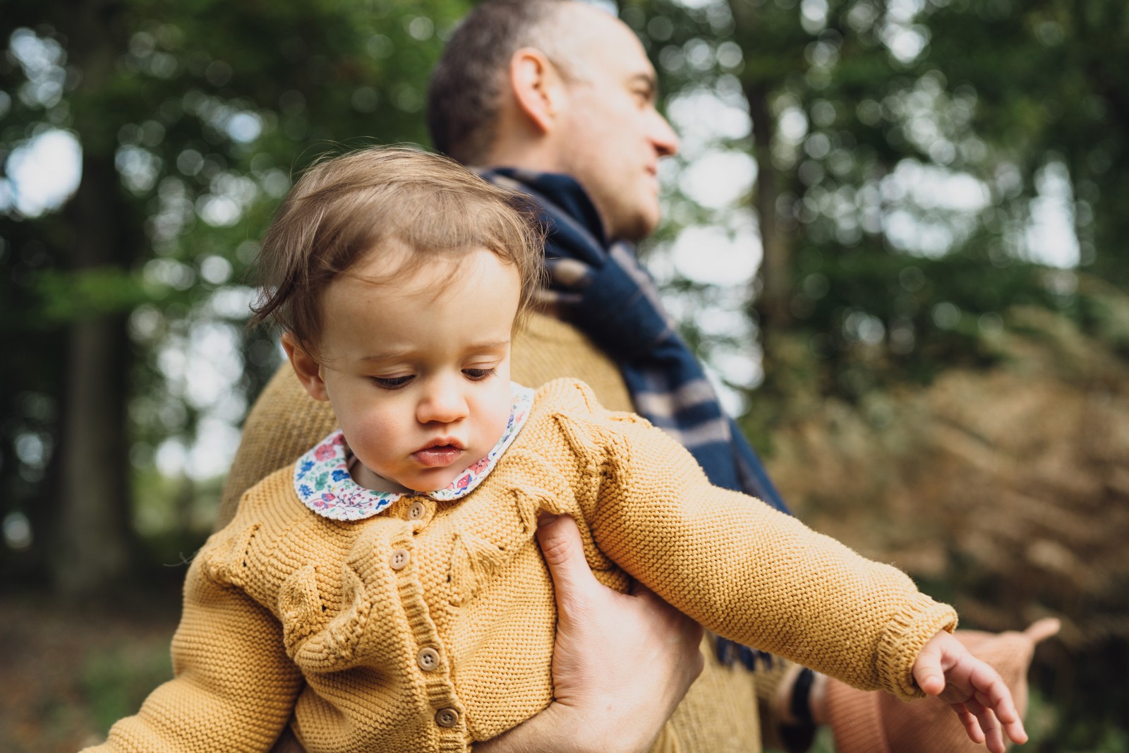 delamere forest autumn shoot
