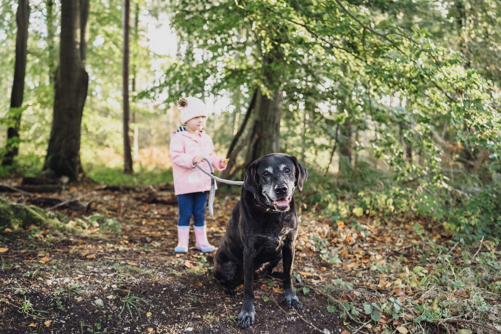 family photographer delamere forest