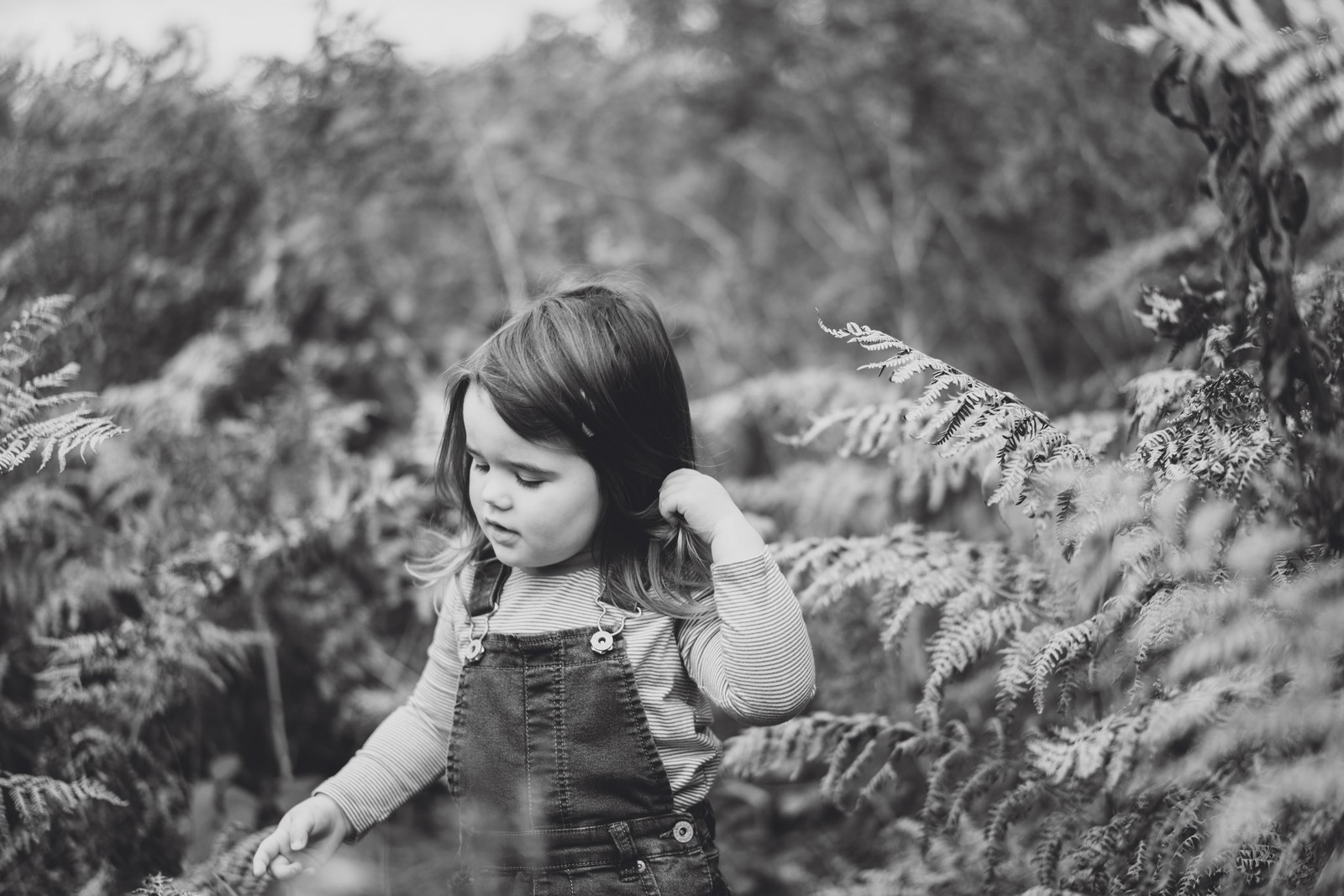 delamere family photographer