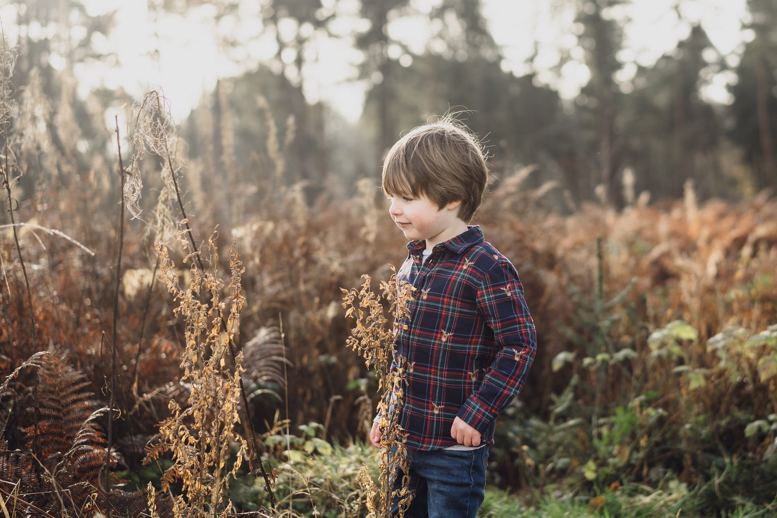 cheshire family photography