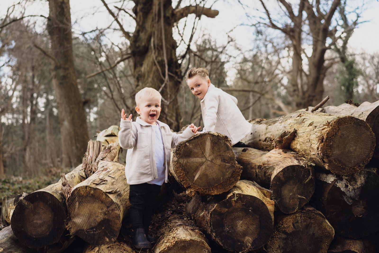 delamere forest shoot