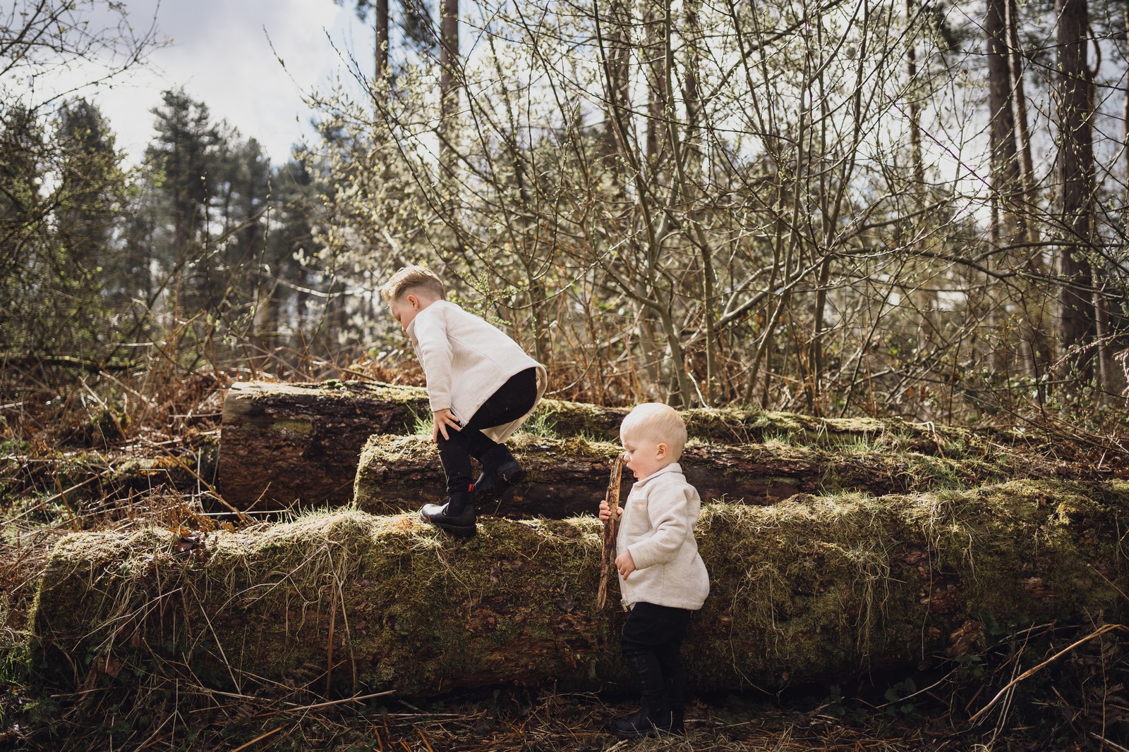 delamere forest shoot
