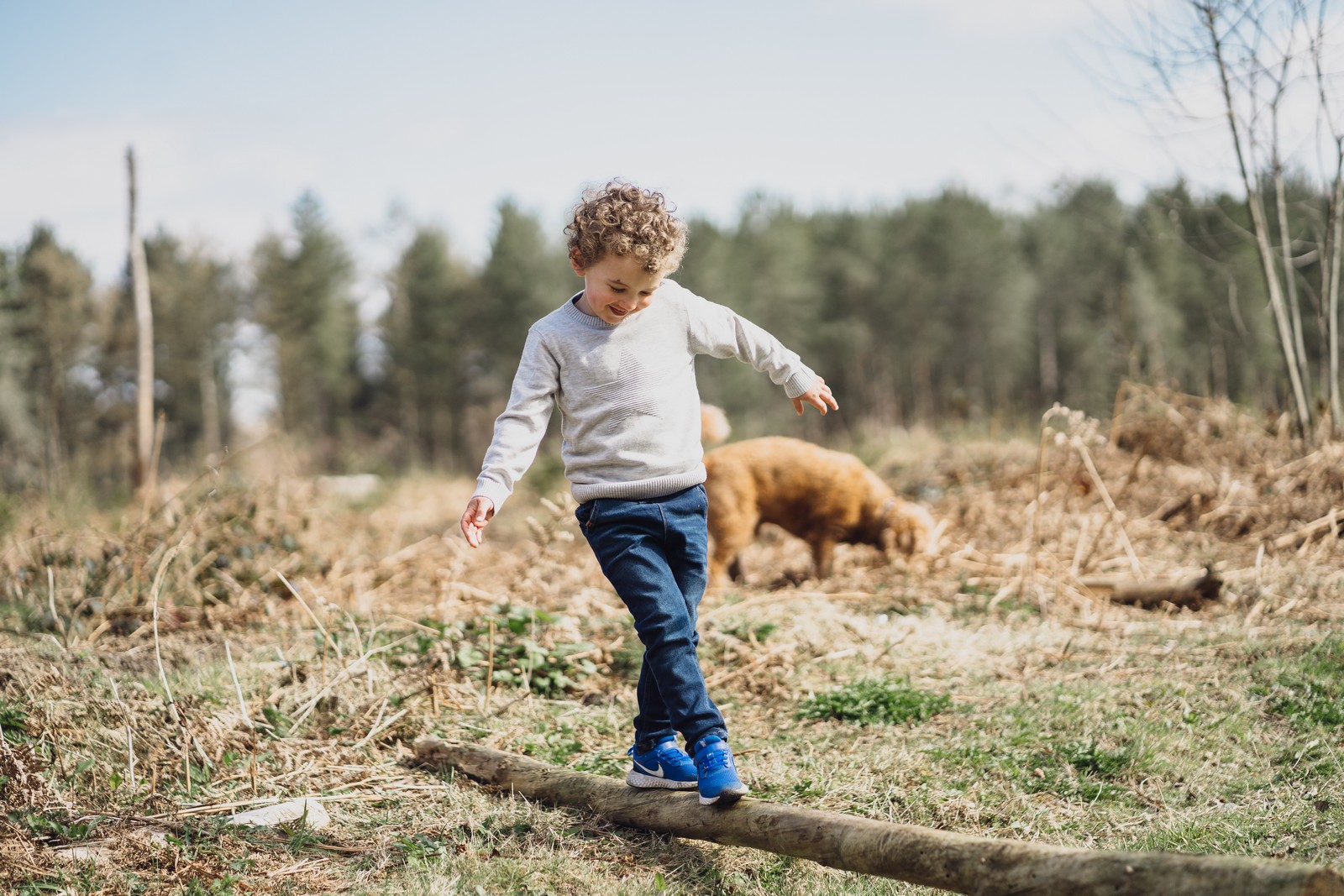 forest shoot oliver and his dog