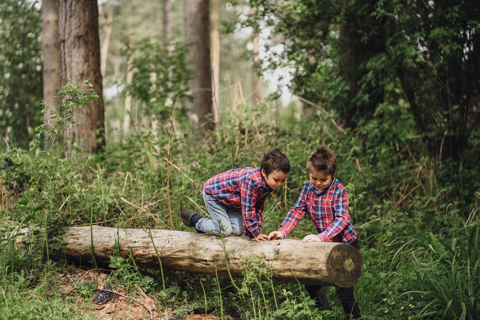 delamere forest shoot