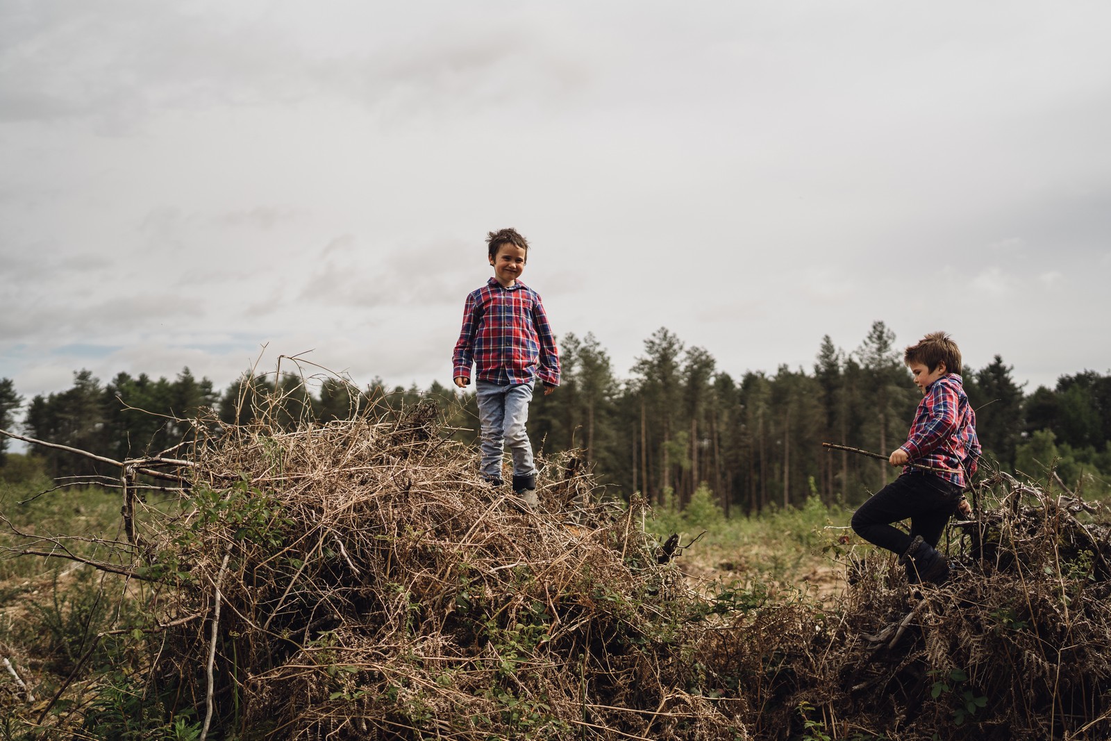 delamere forest shoot