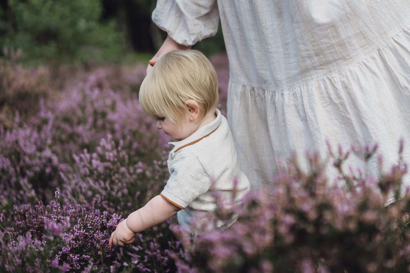 Family shoot in the woods // Crosbie Family