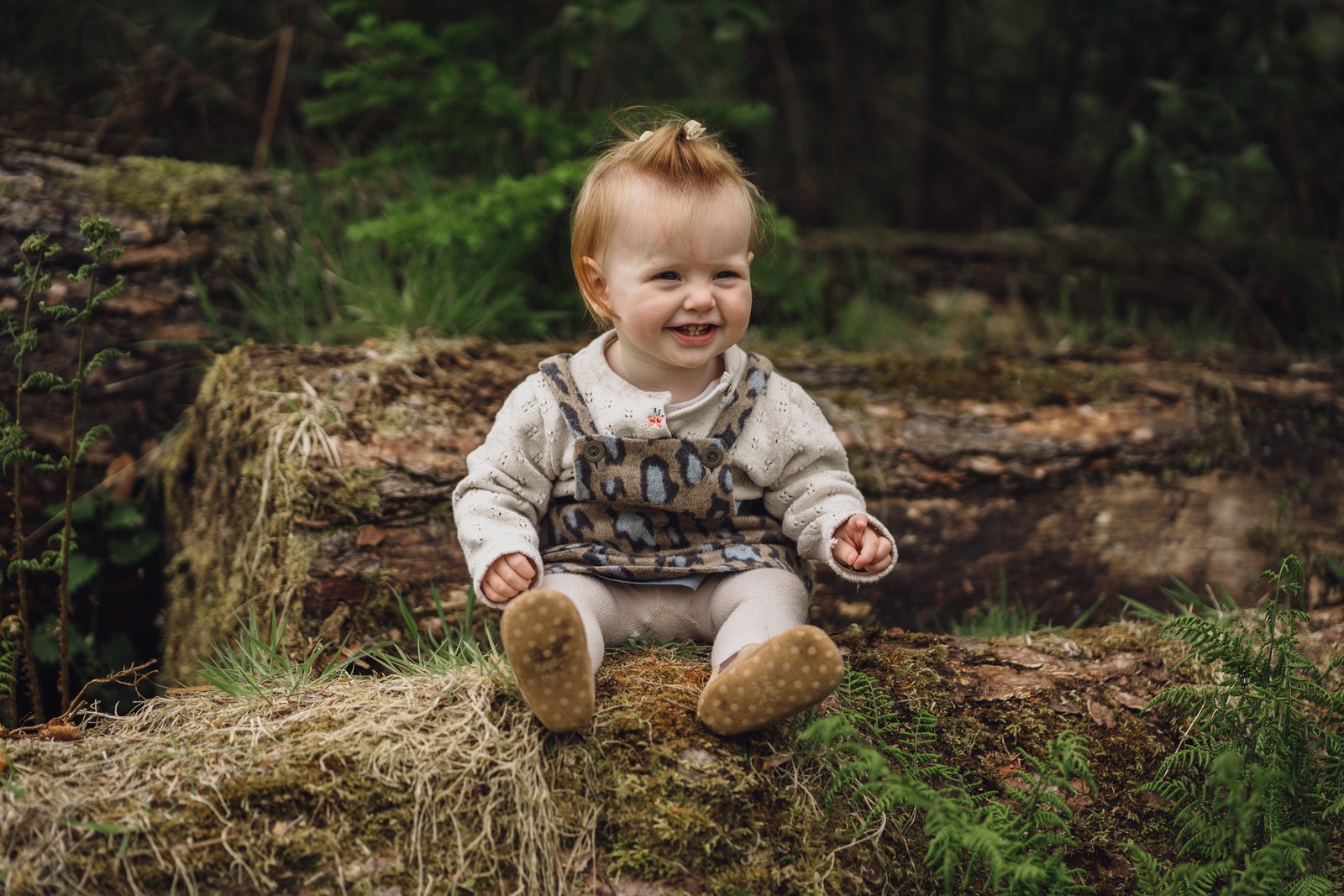 Delamere Forest // Harper