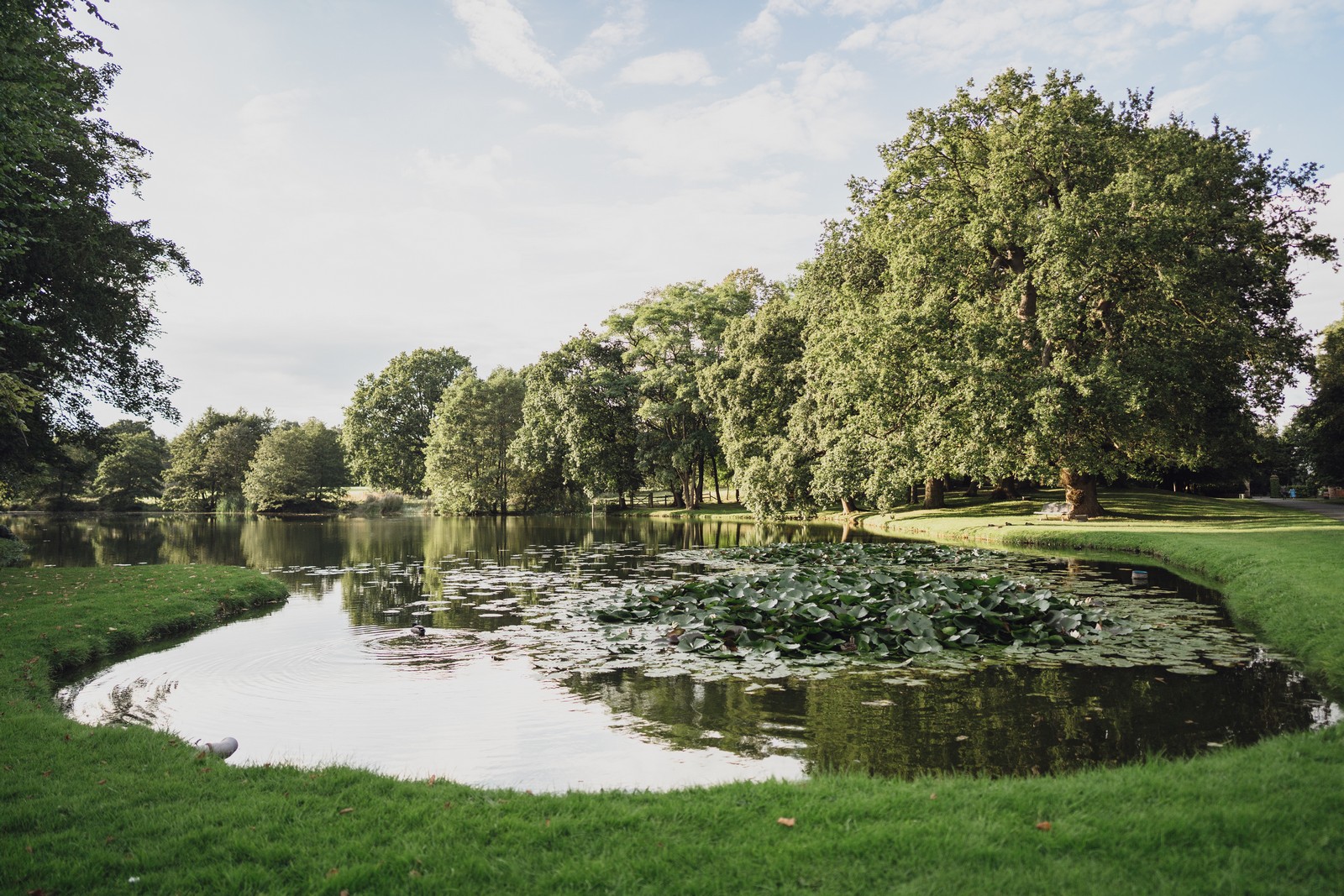 dorfold hall cheshire wedding venue