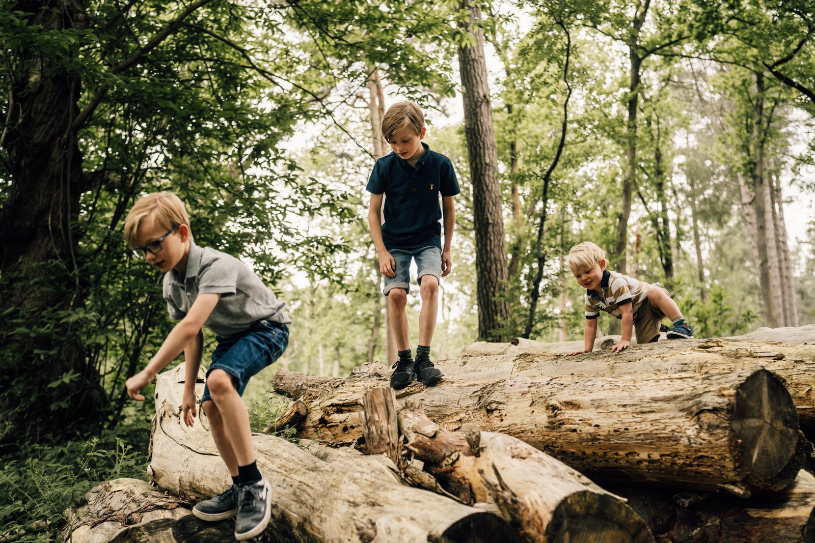 family in the woods