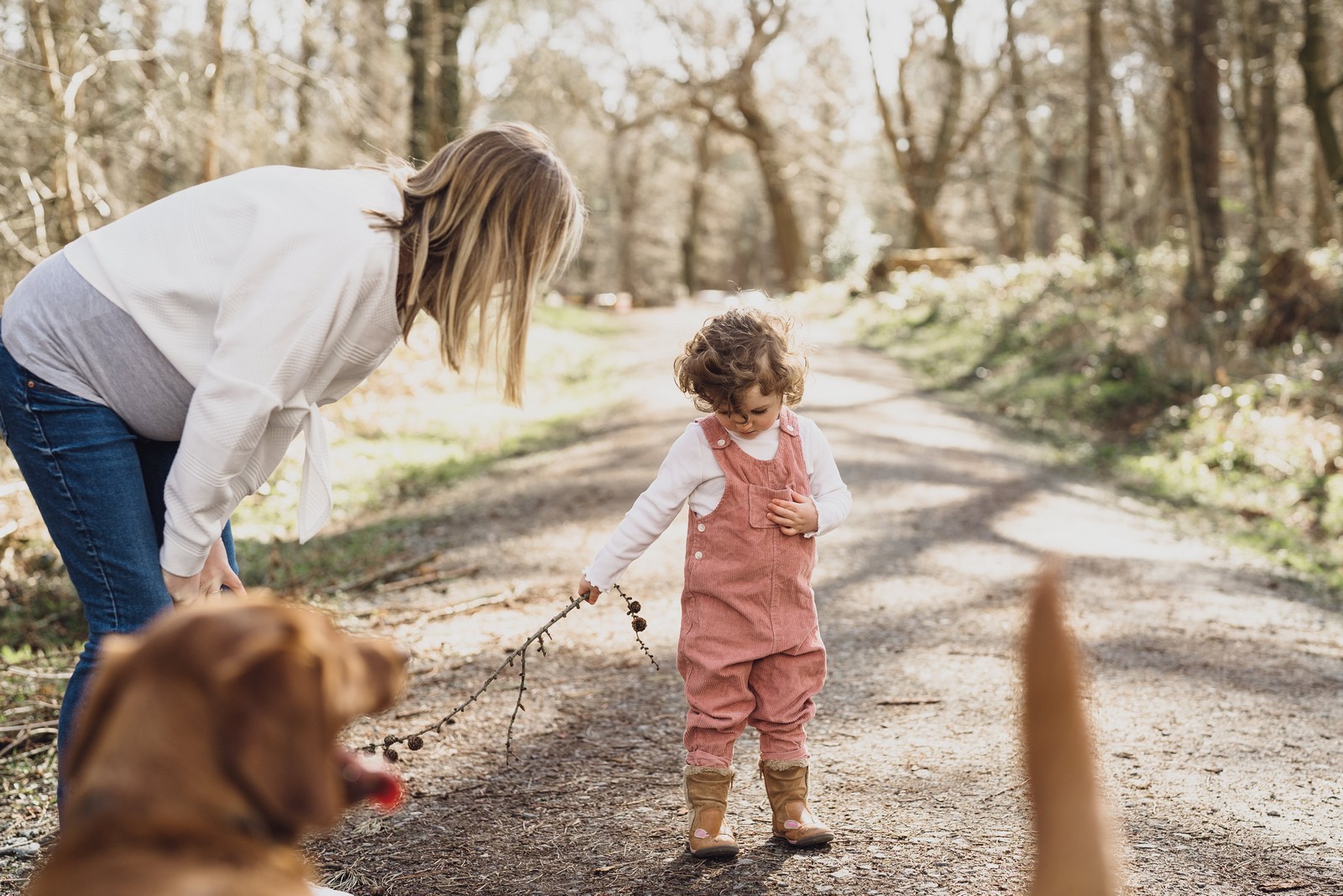 Delamere Forest // Fearne