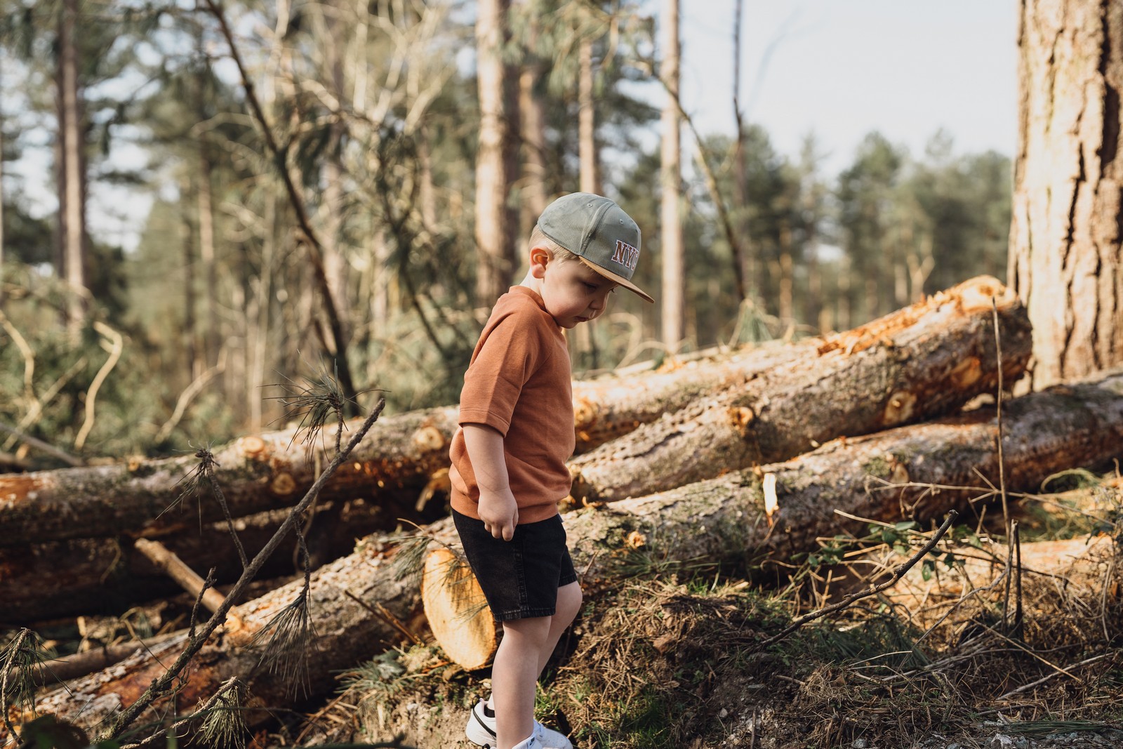 forest photographer