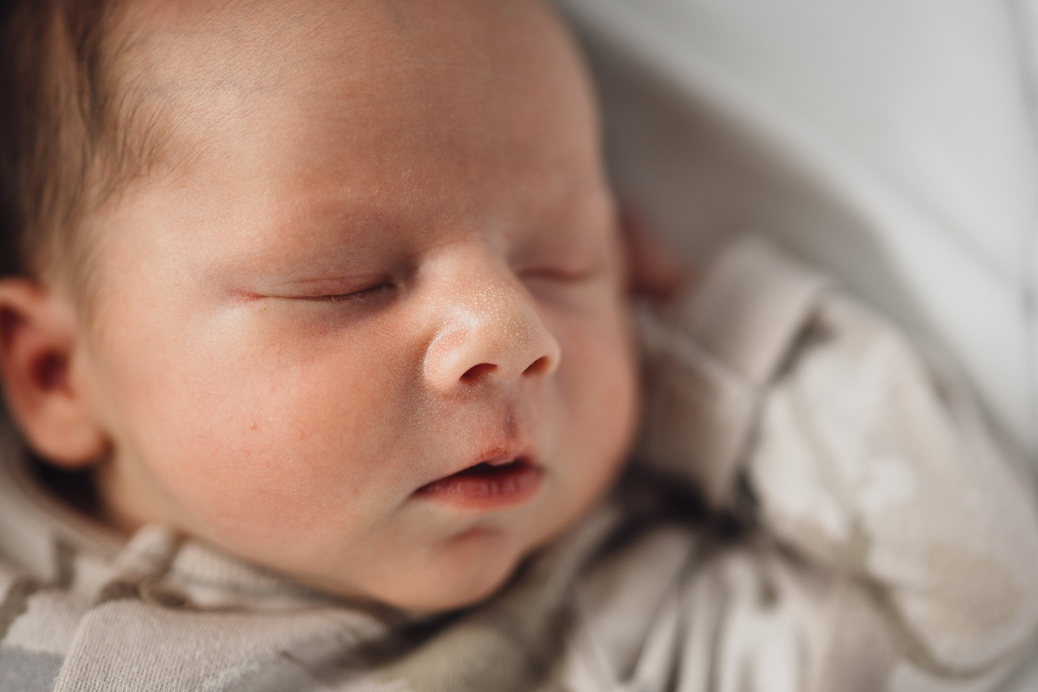 Newborn Photographer