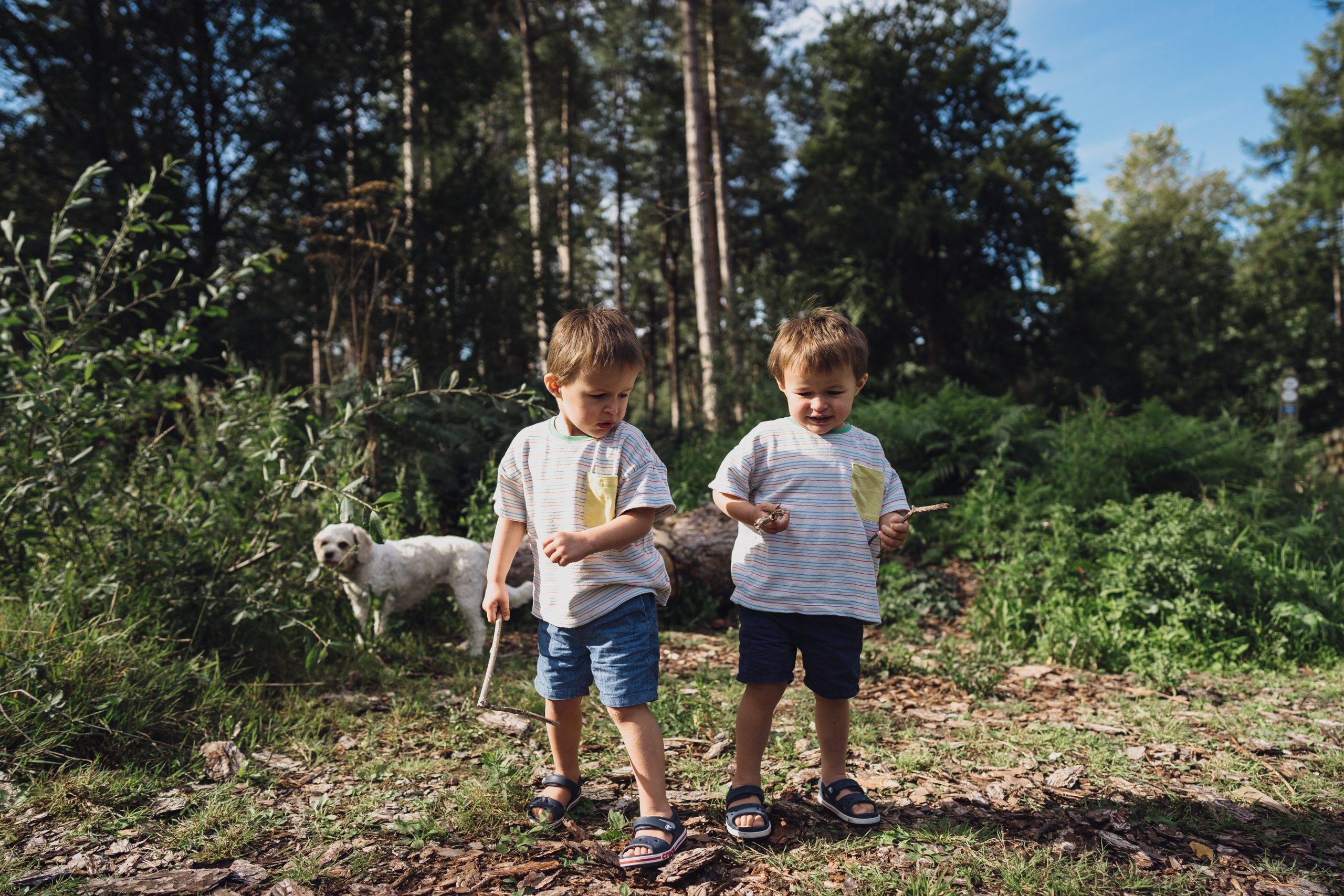 Delamere Forest shoot