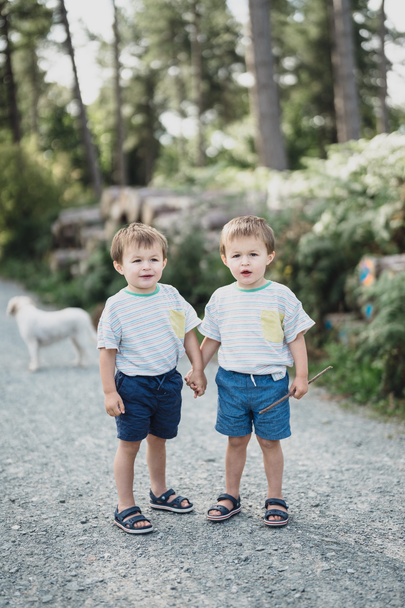 Delamere Forest shoot // Twins & Pooch