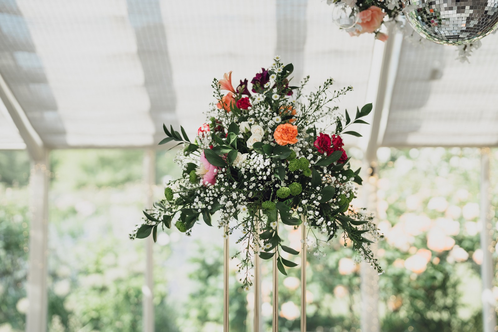 Abbeywood // Harriet & Andy