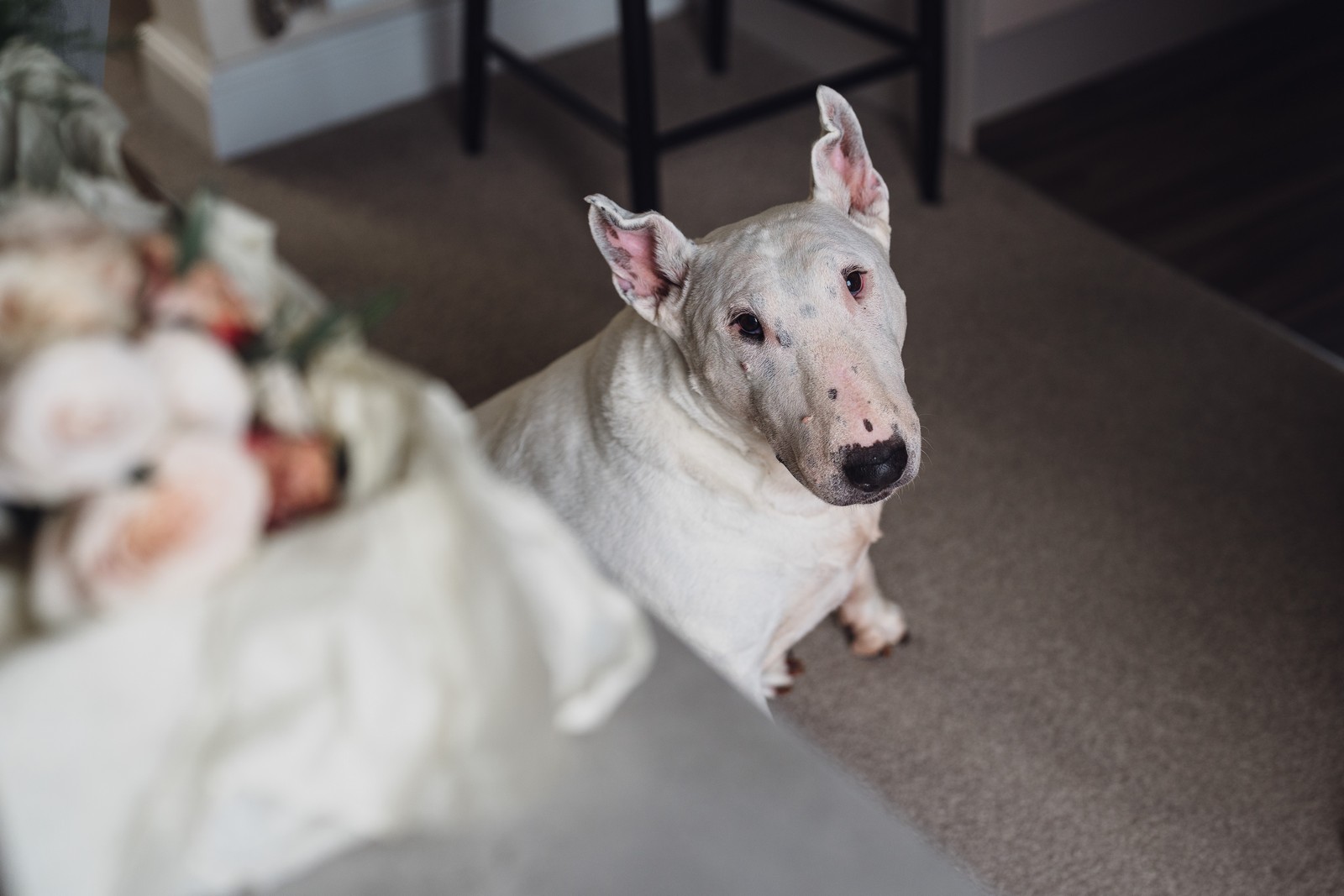 Hartford Golf Room One // Ian & Chrissy