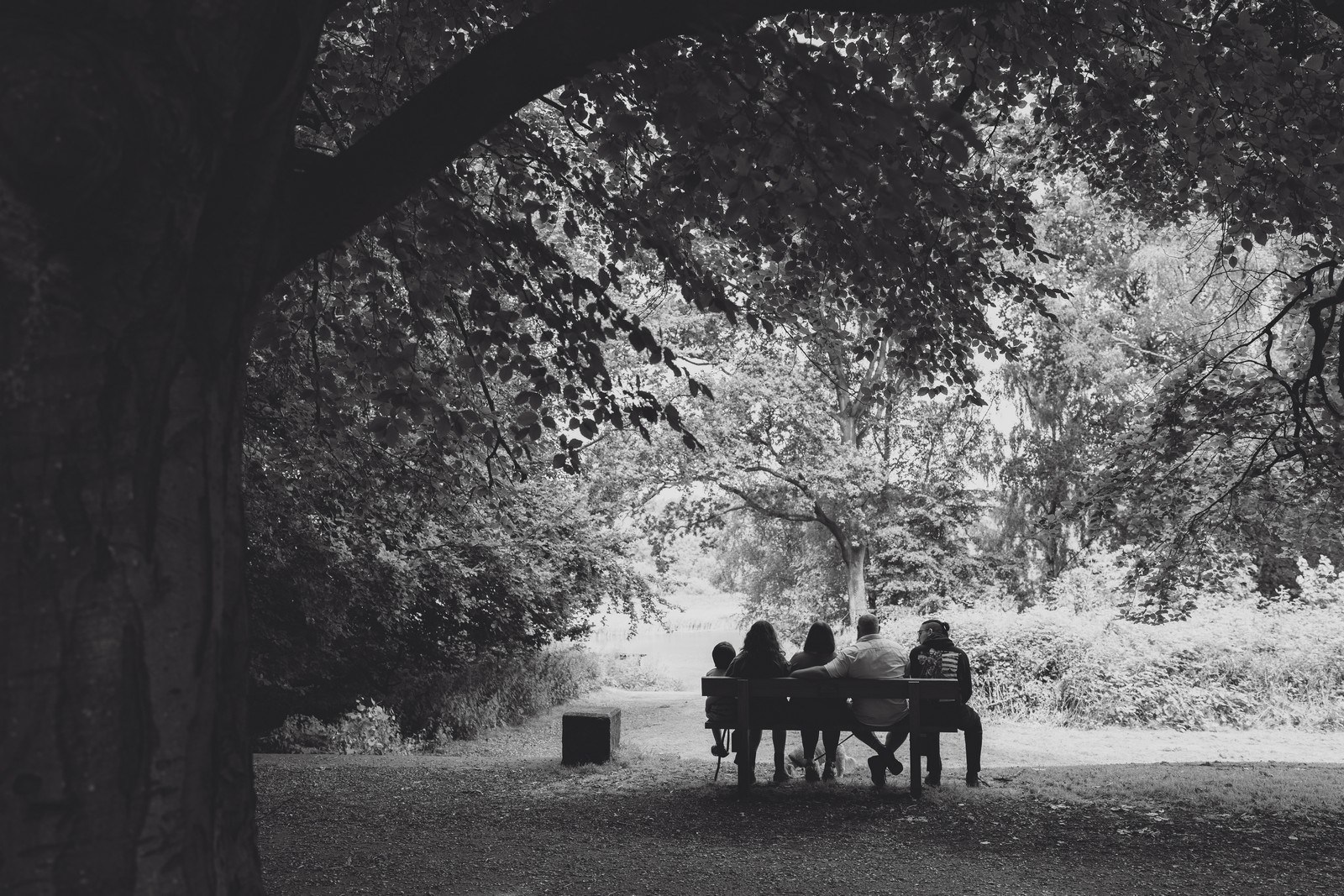 cheshire family photographer