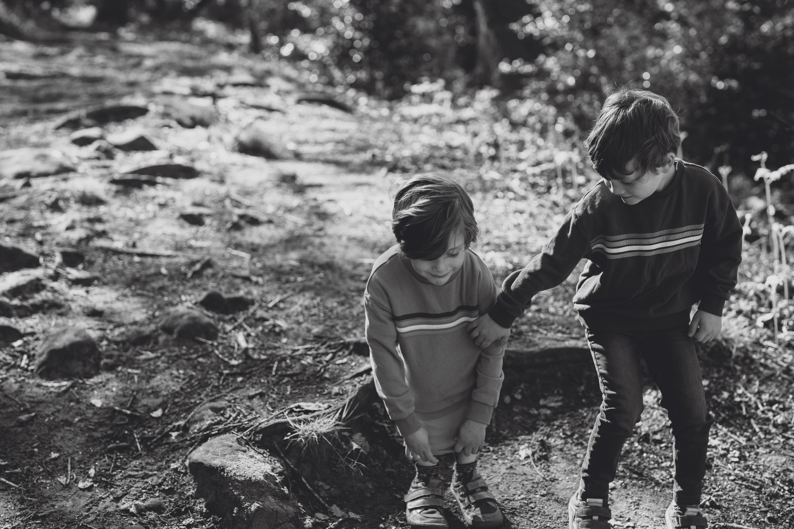 A Woodland Adventure with the Drewitts