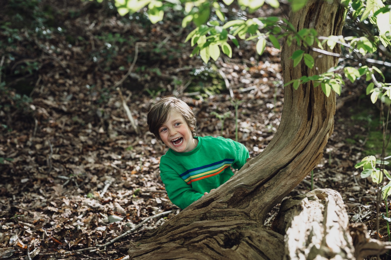 A Woodland Adventure with the Drewitts