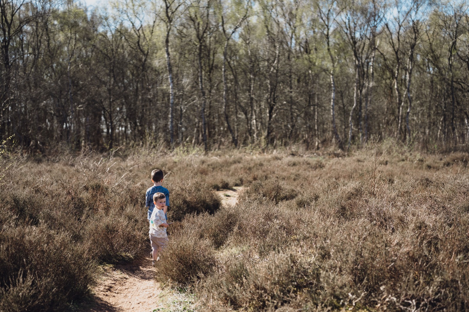 A Woodland Adventure with the Farrington Family