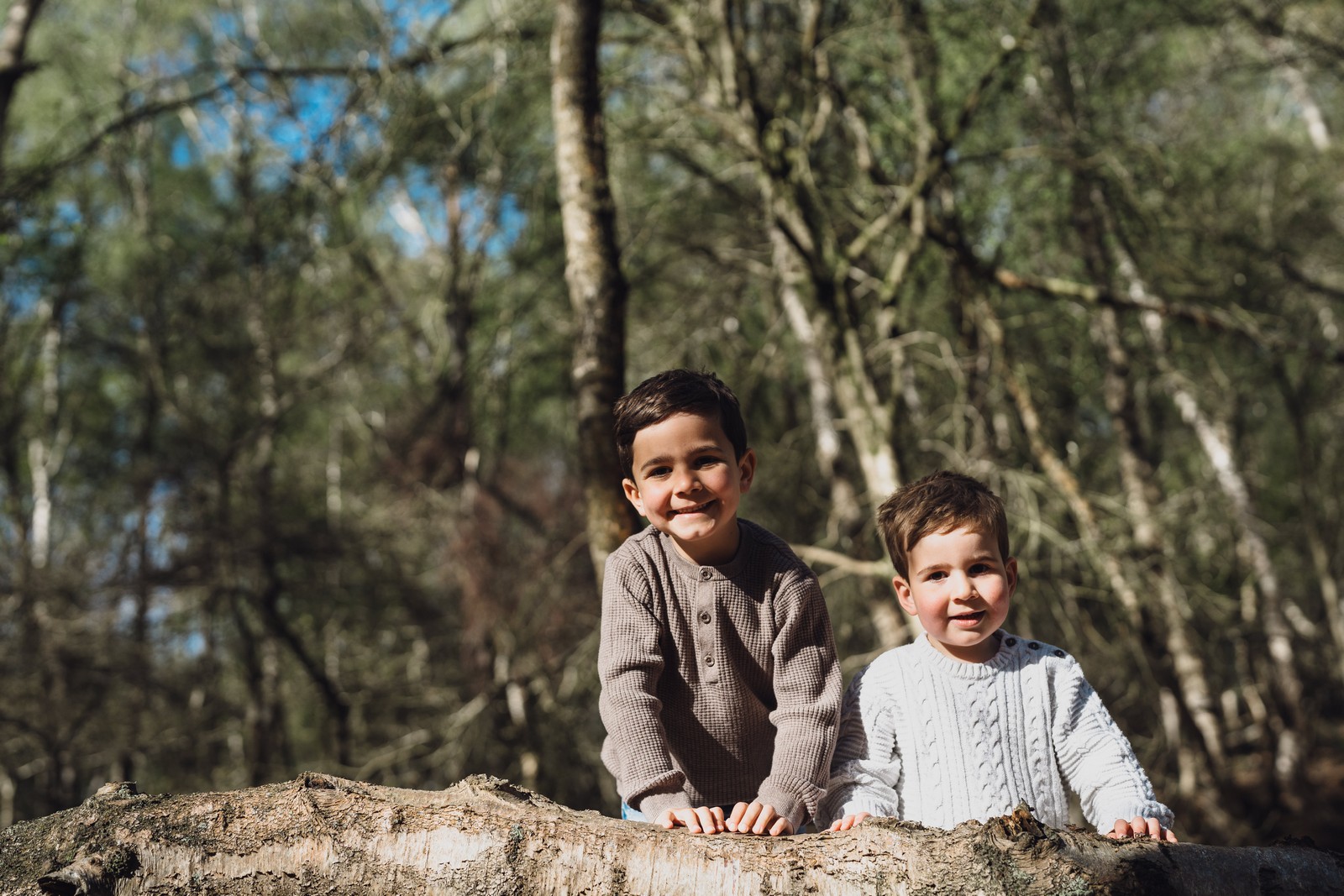 In the Woods Photography
