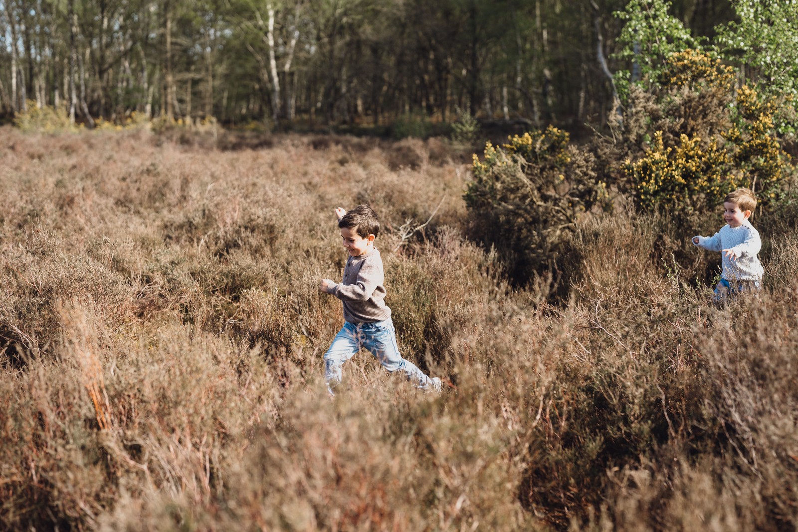 In the Woods Photography // Fullwood Family