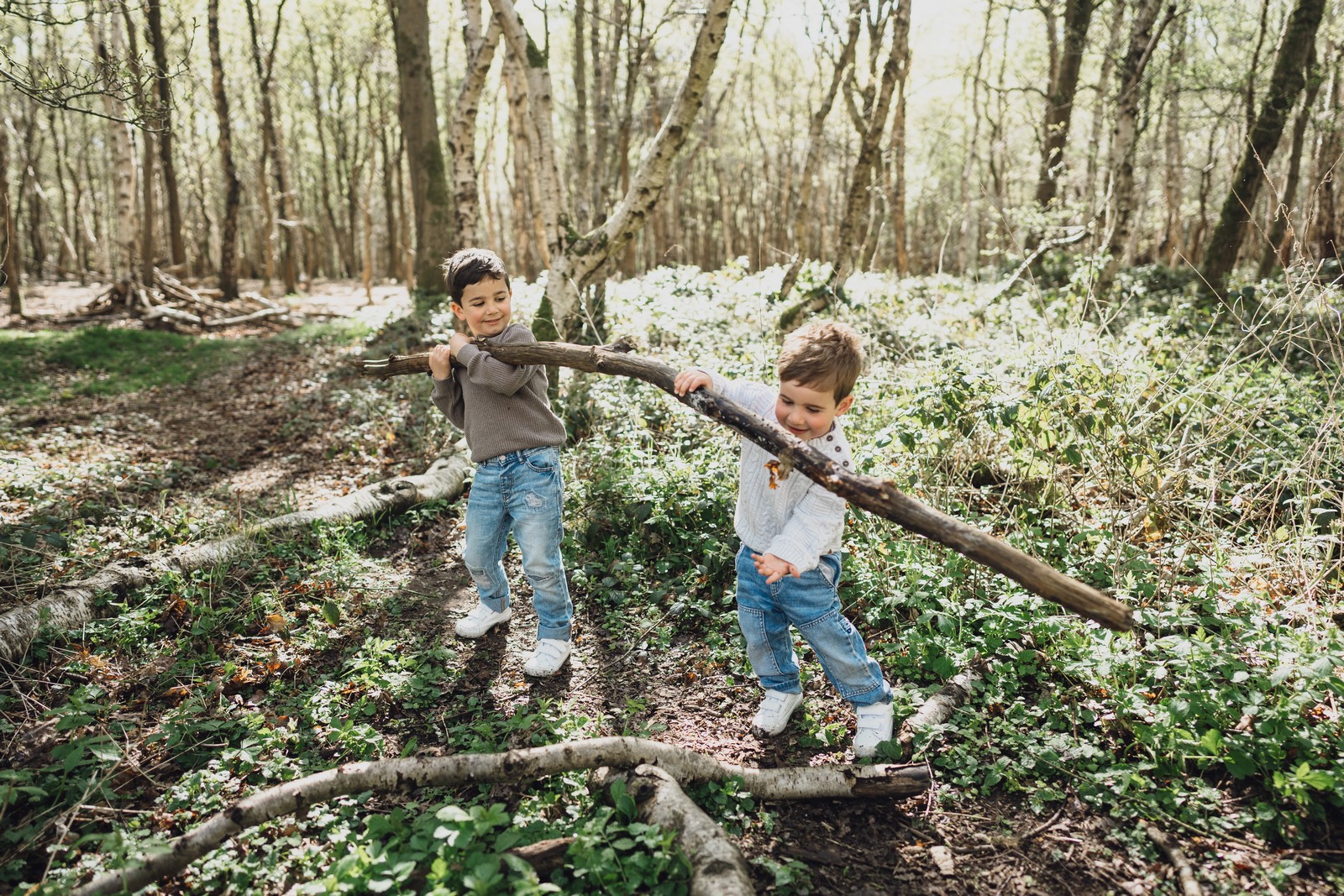 In the Woods Photography