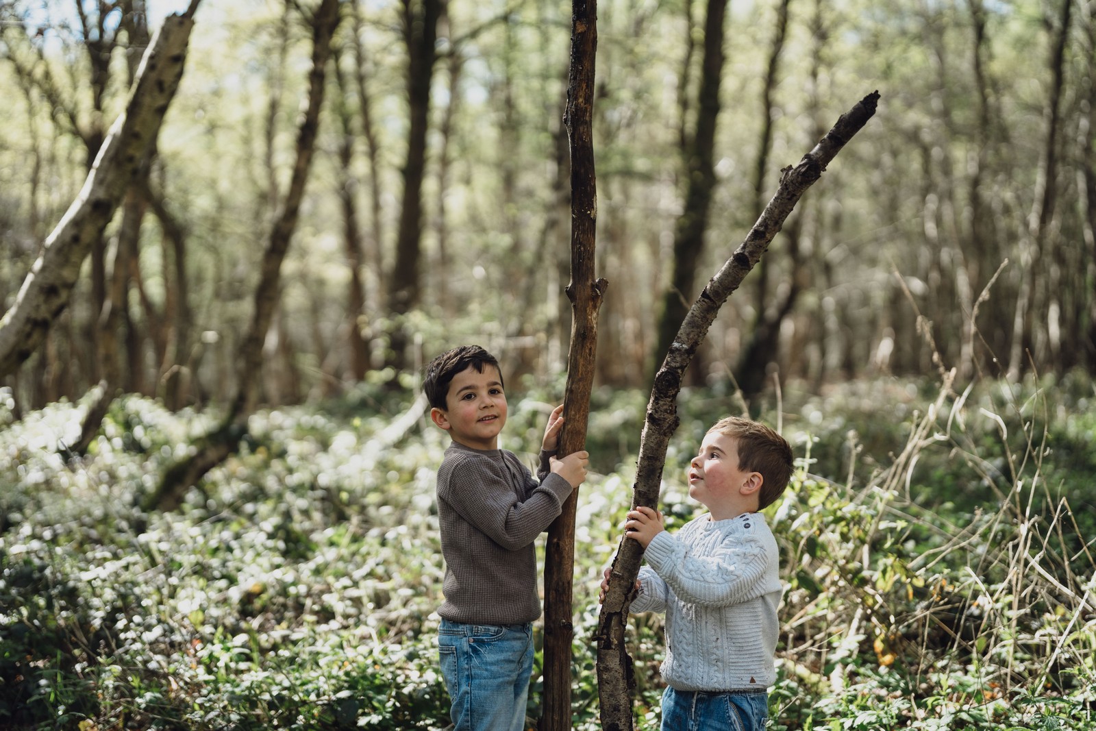 In the Woods Photography