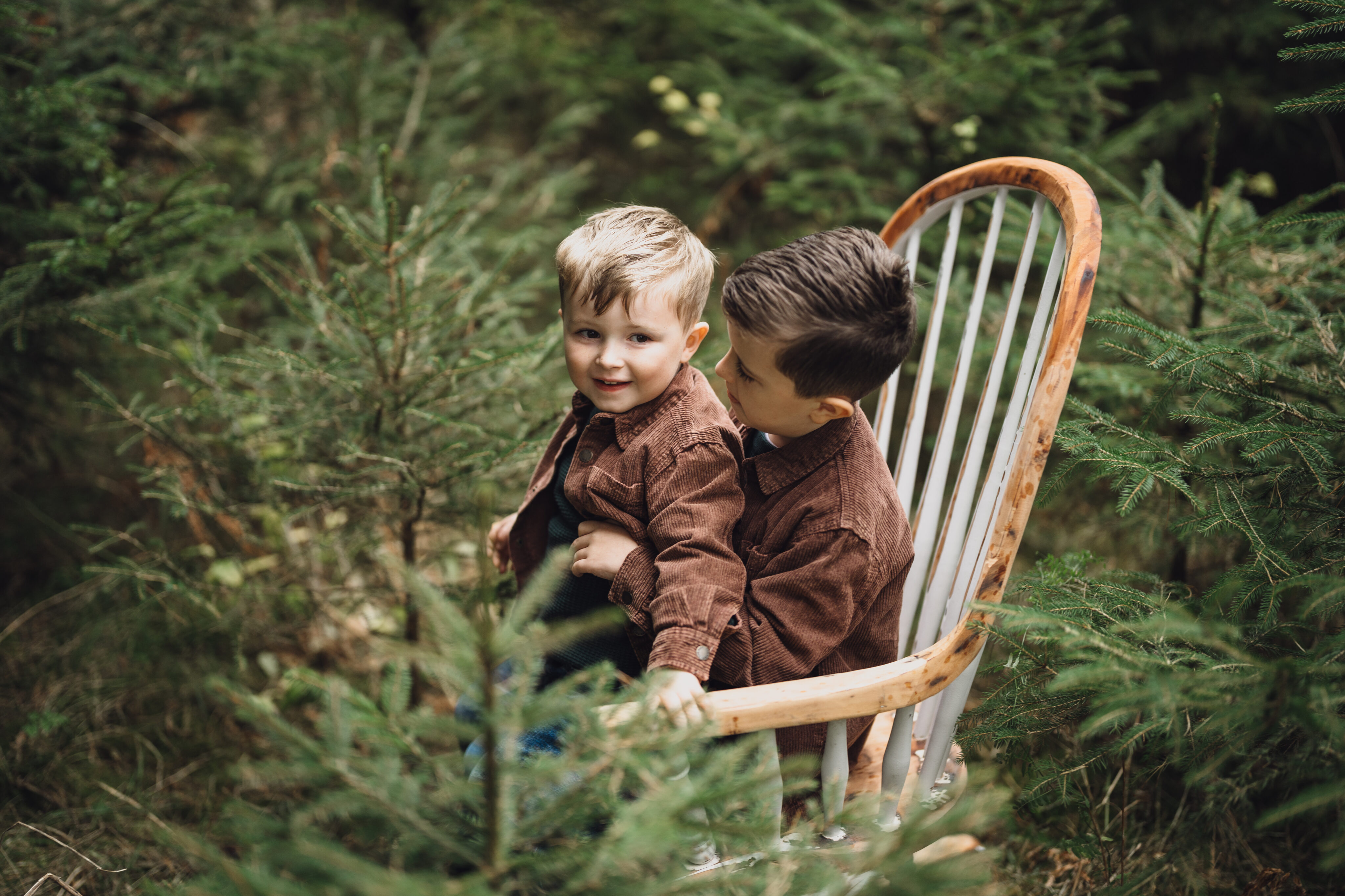 CHRISTMAS TREE FARM MINI SHOOTS