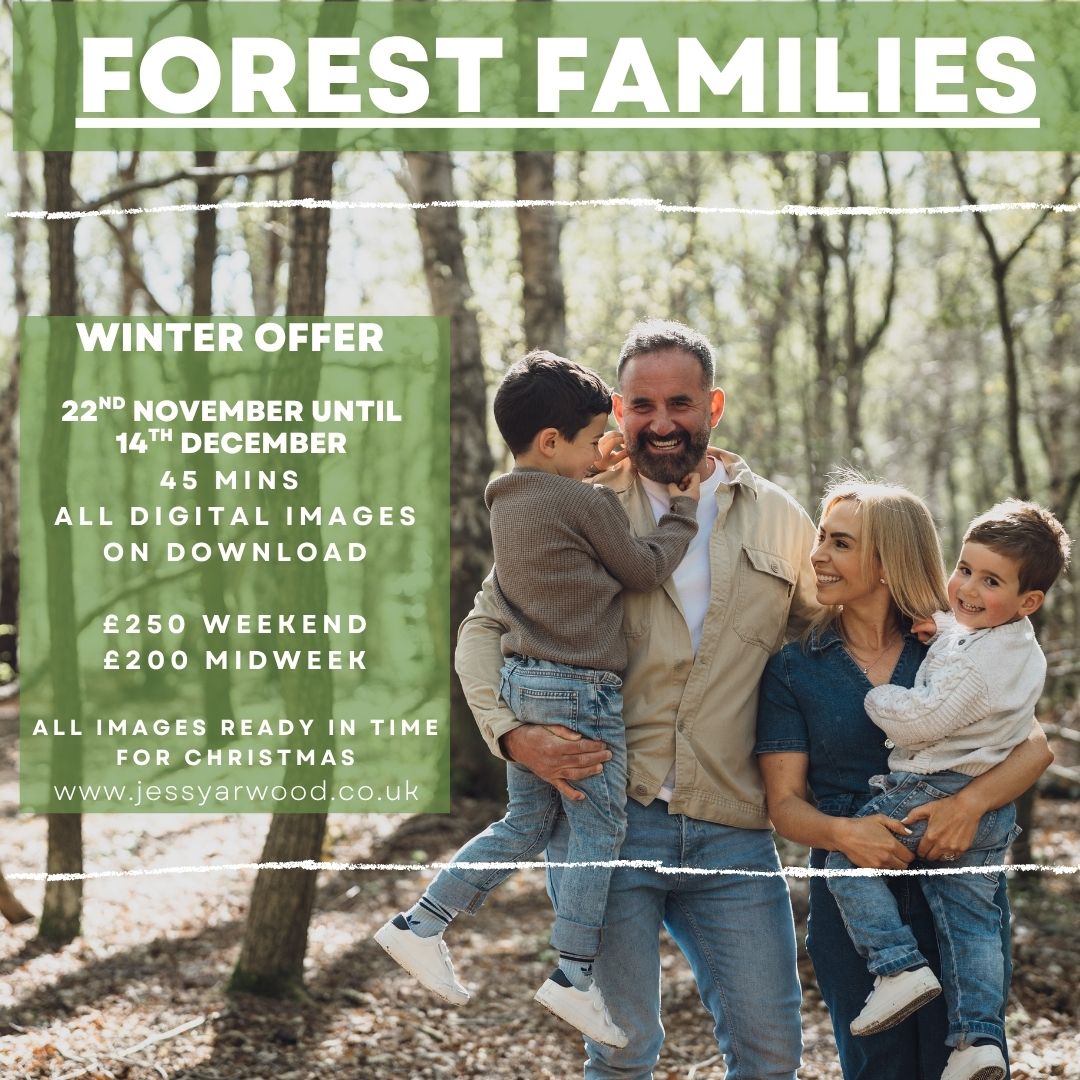 Forest Families - Christmas Shoots
