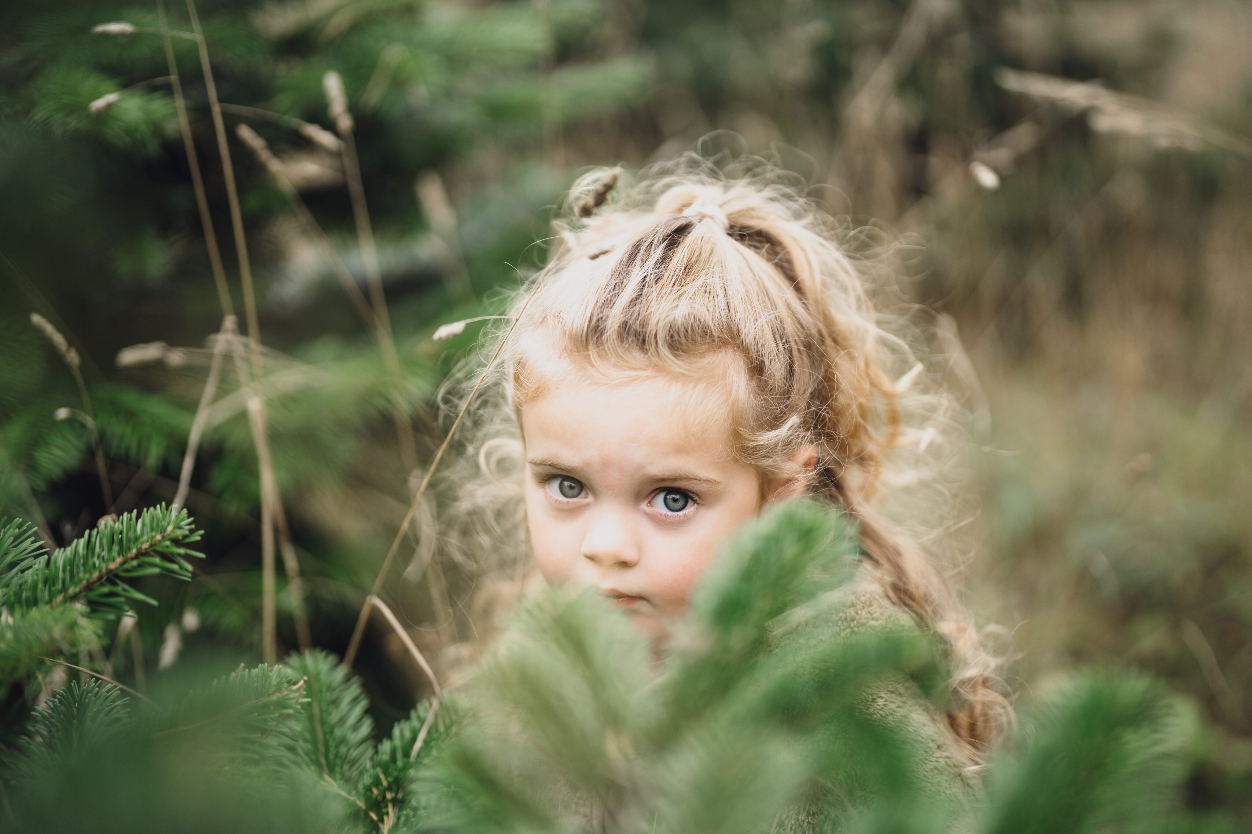 CHRISTMAS TREE FARM MINI SHOOTS