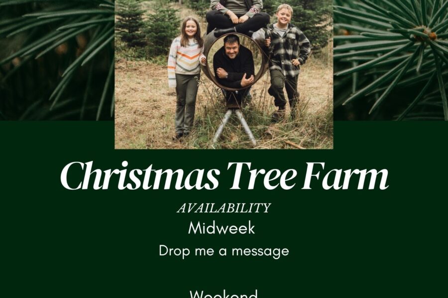 CHRISTMAS TREE FARM MINI SHOOTS