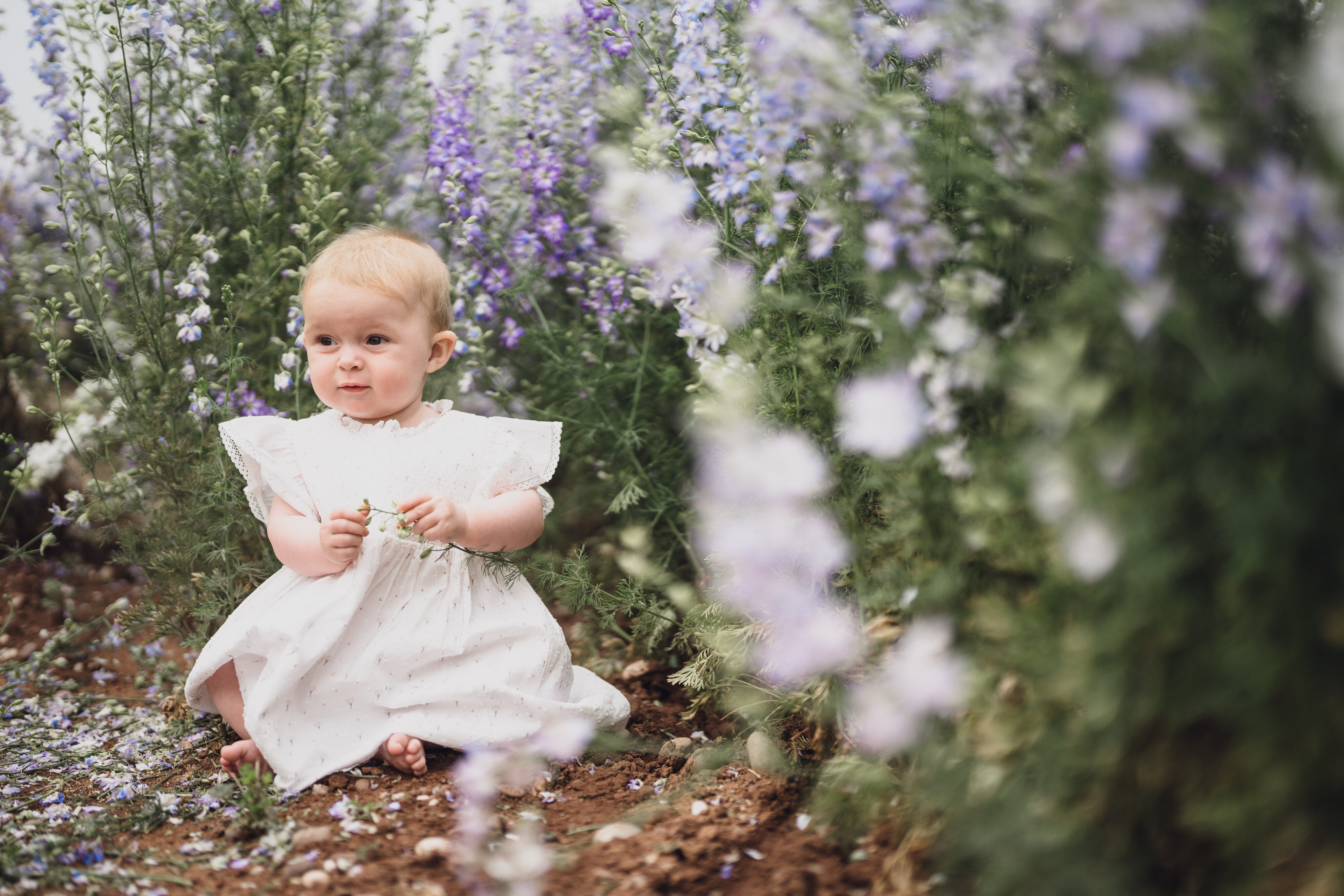 CHESHIRE FAMILY PHOTOGRAPHER