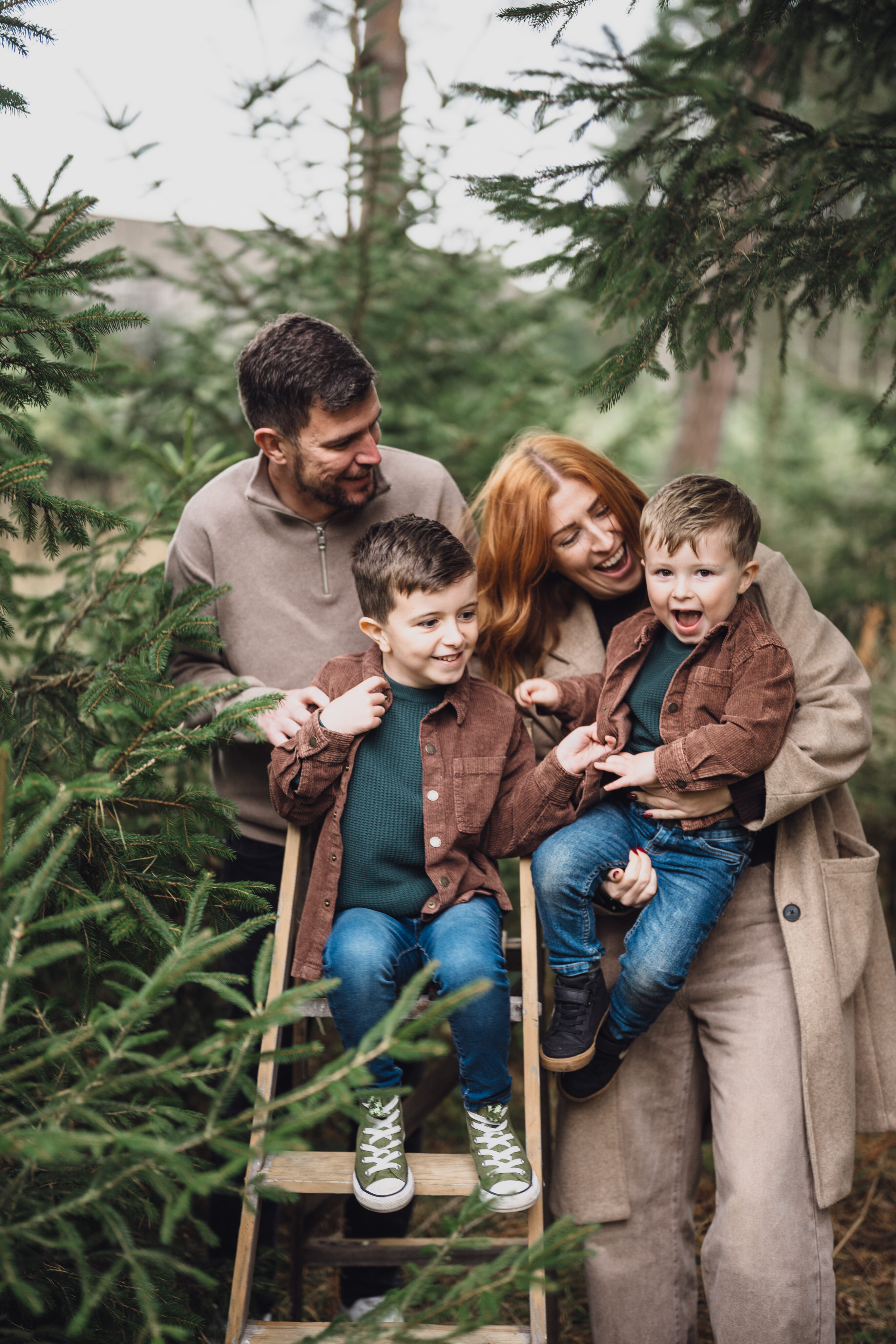 CHRISTMAS TREE FARM MINI SHOOTS