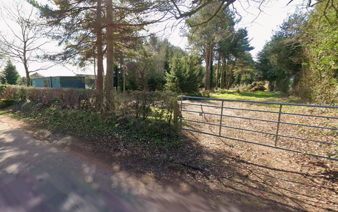 CHRISTMAS TREE FARM MINI SHOOTS