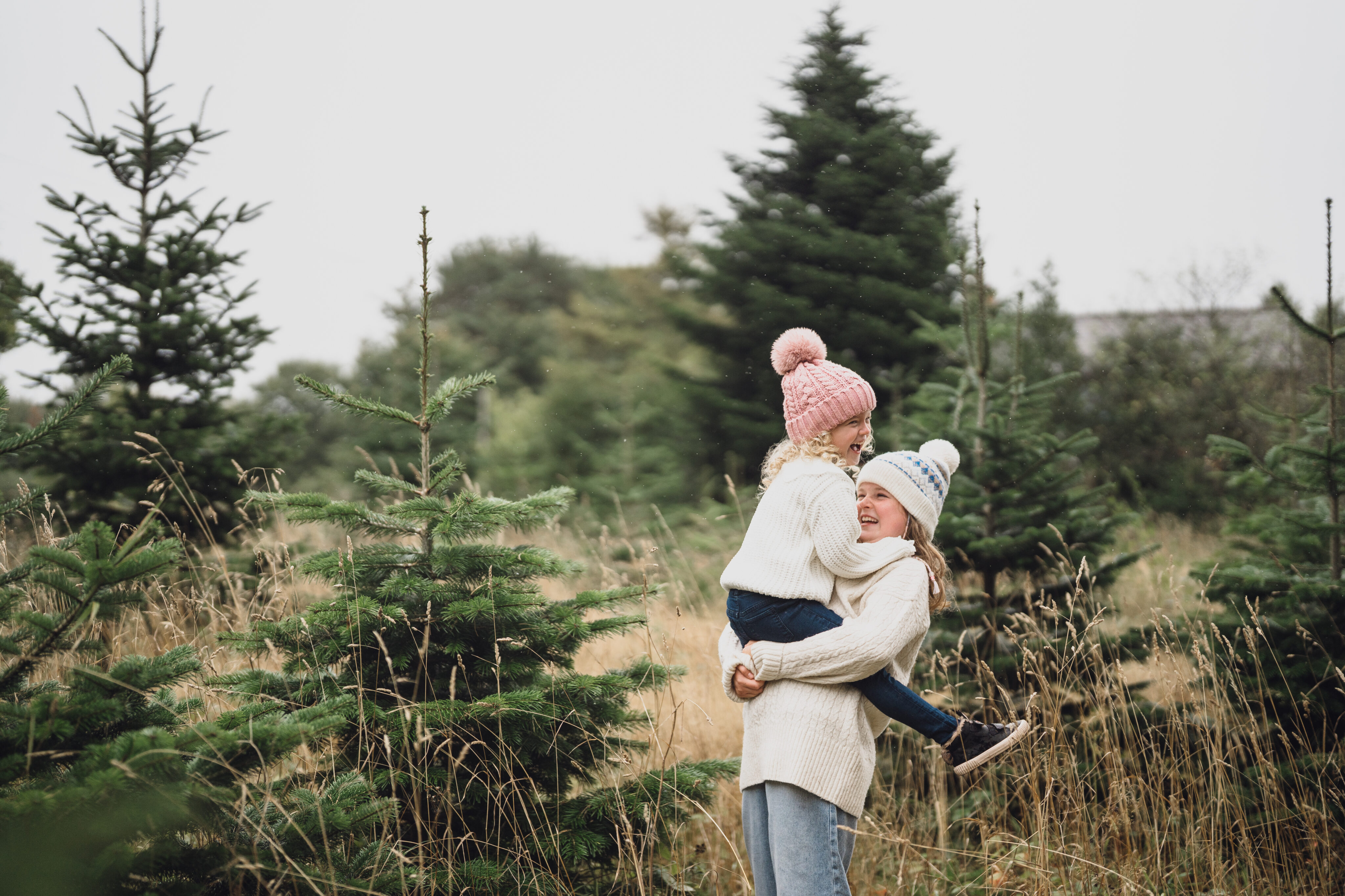 cheshire christmas tree farm