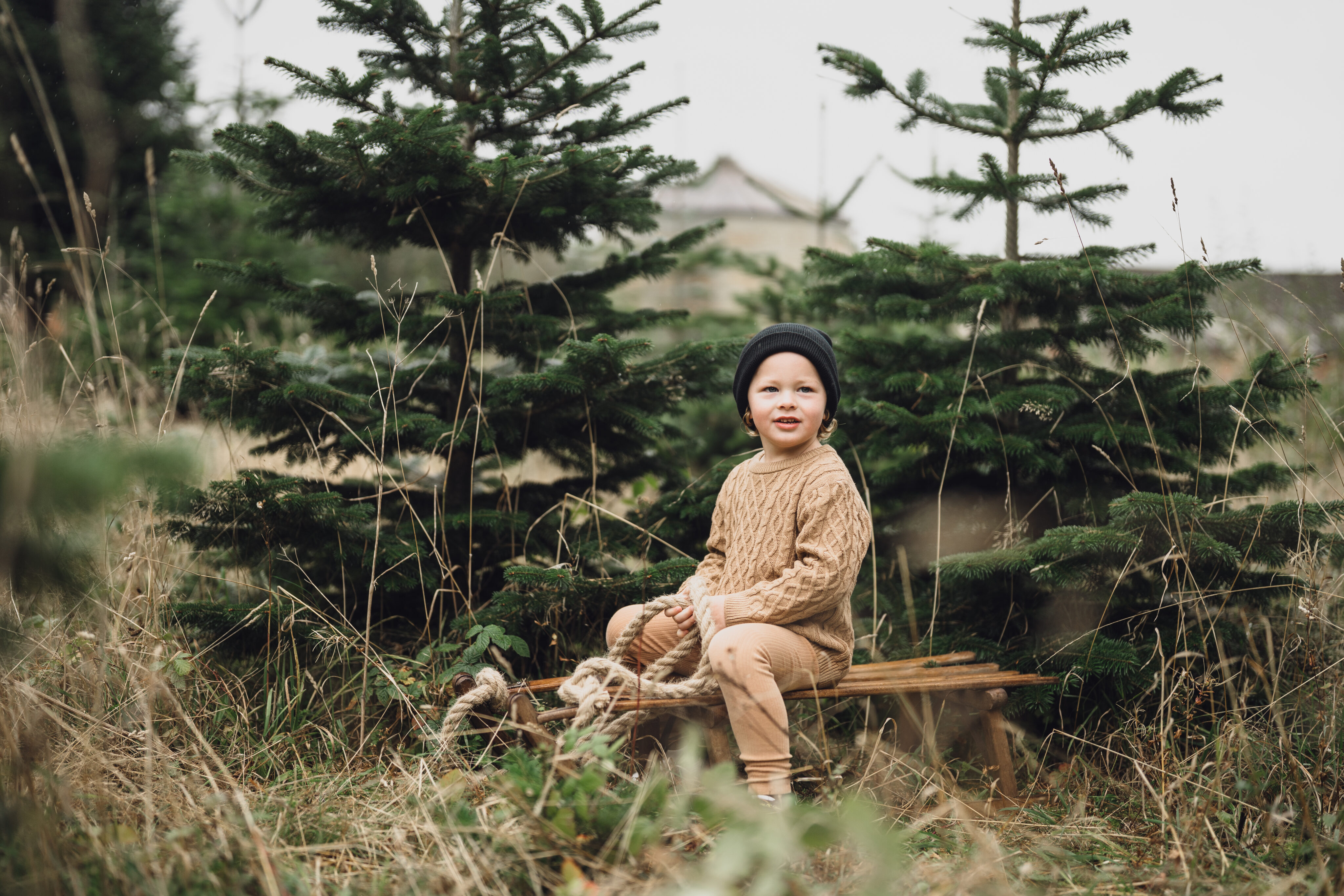 cheshire christmas shoots