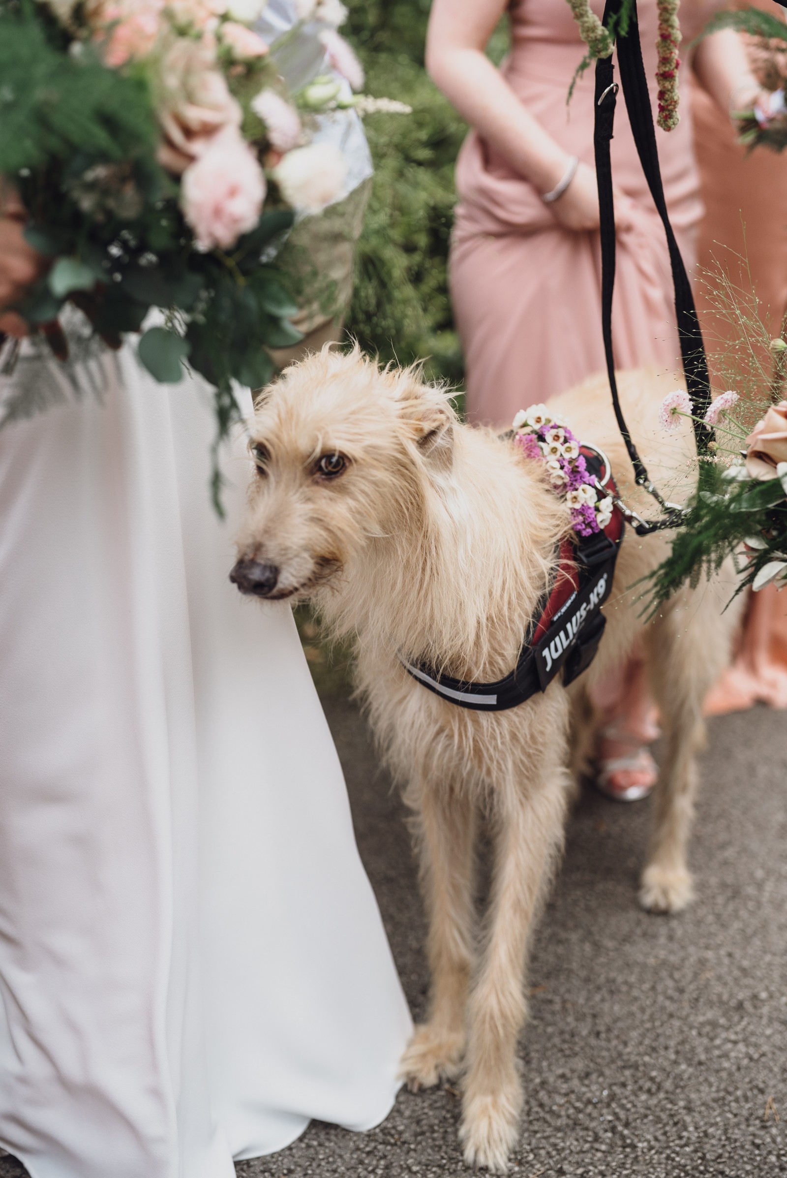 Nicola & Phil's Abbeywood Estate Wedding Nicola & Phil's Abbeywood Estate Wedding